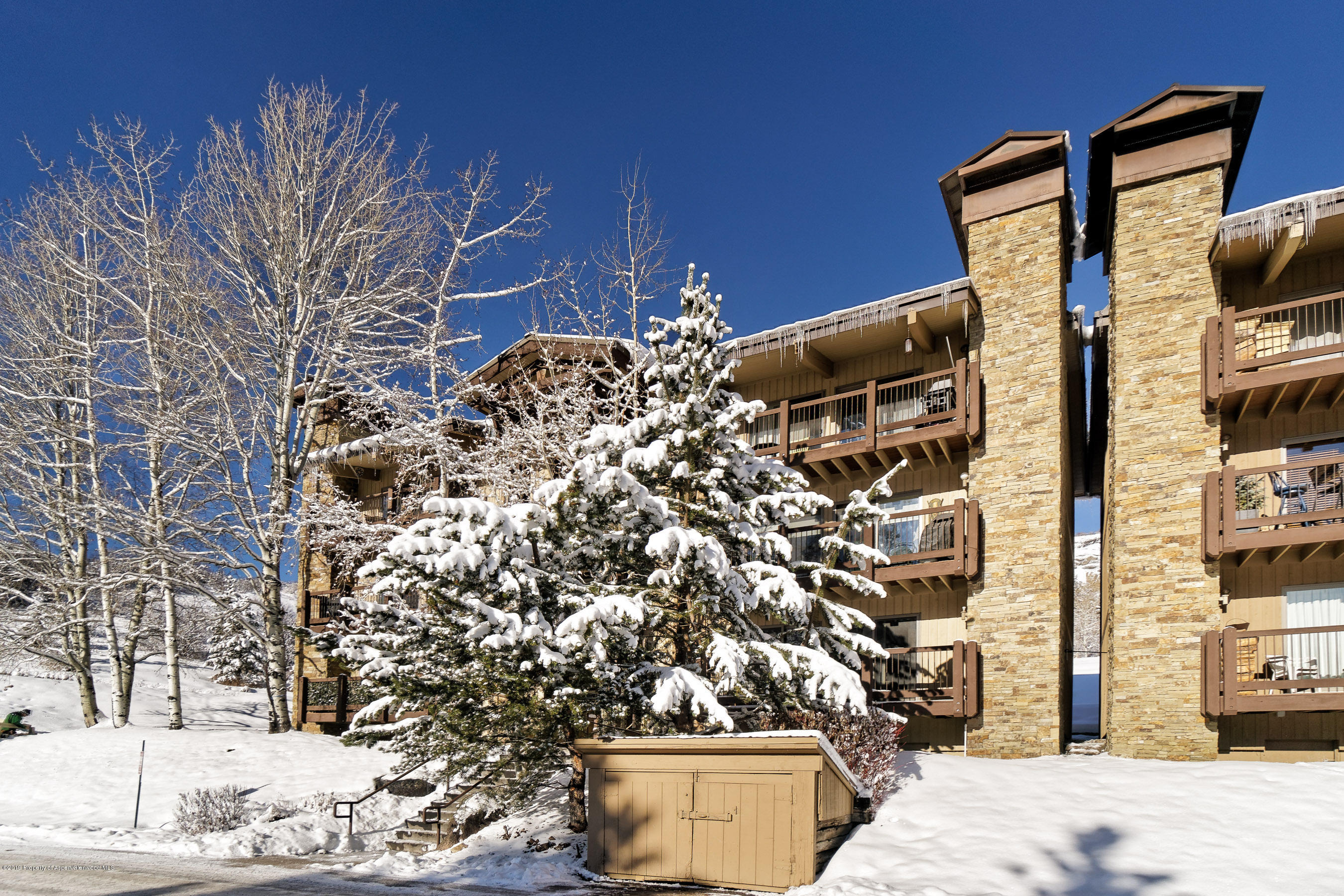 35 Upper Woodbridge Road Snowmass Village CO 81615