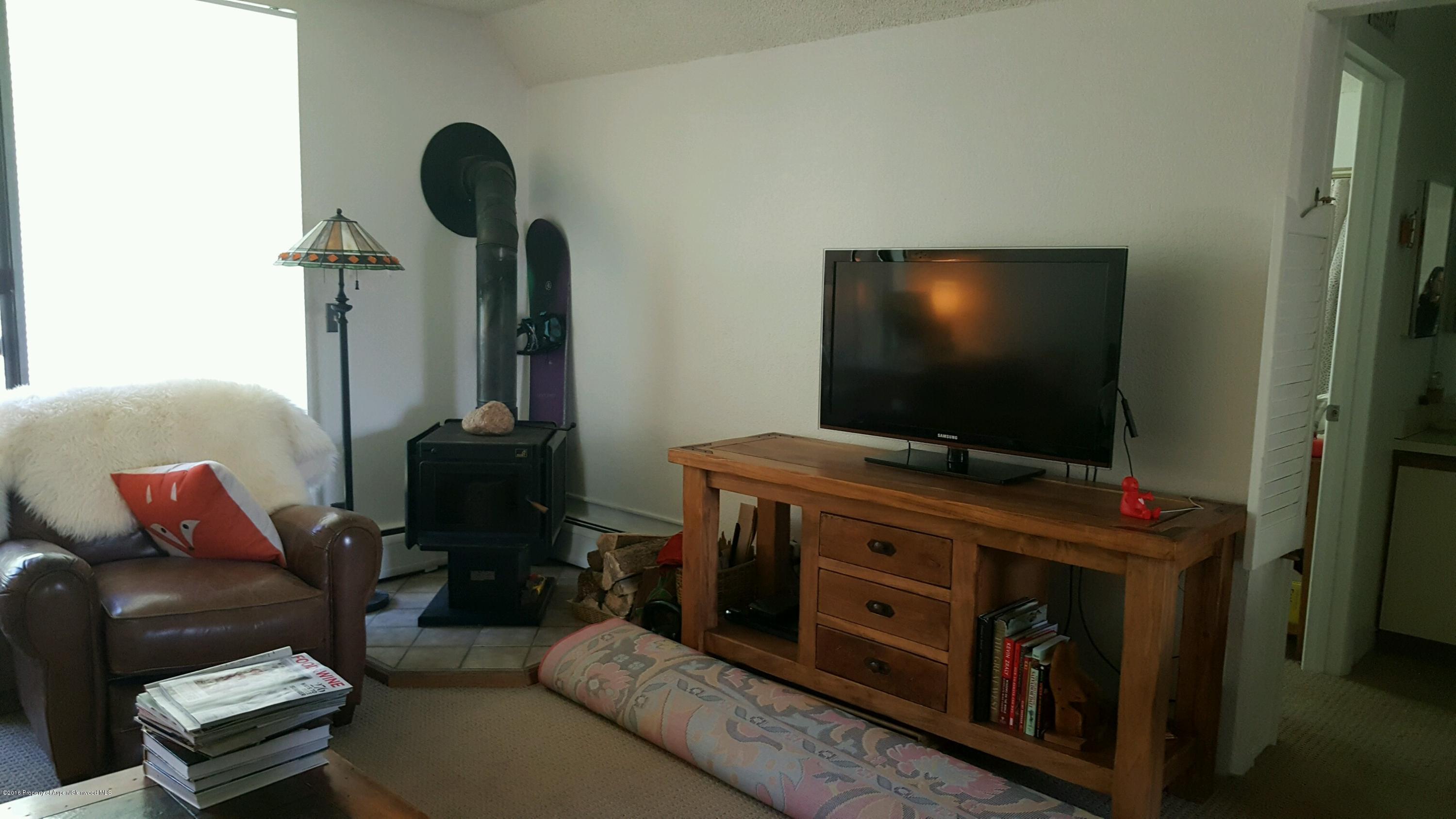 1337 Vine Street Aspen CO 81611