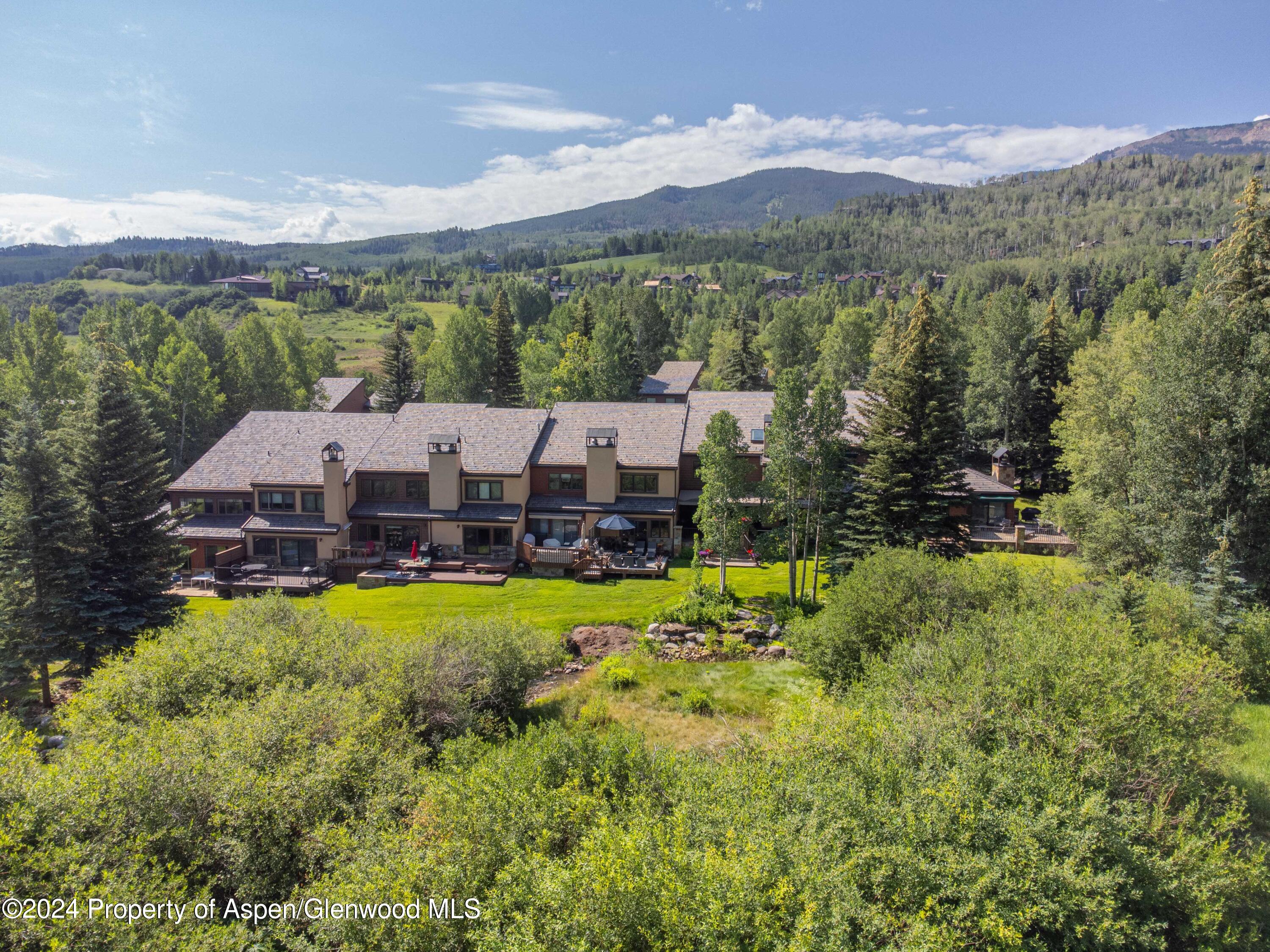 115 Harleston Green Snowmass Village CO 81615