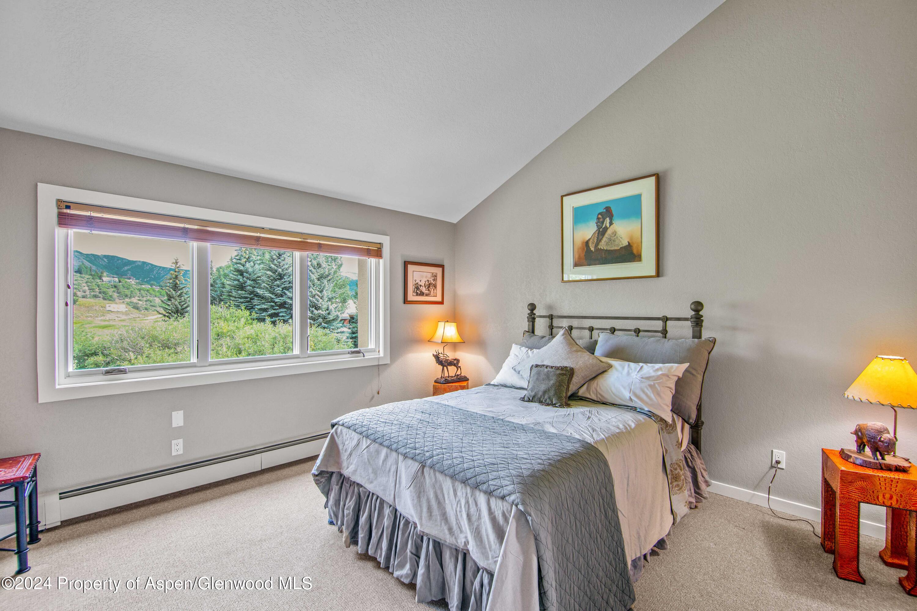 115 Harleston Green Snowmass Village CO 81615