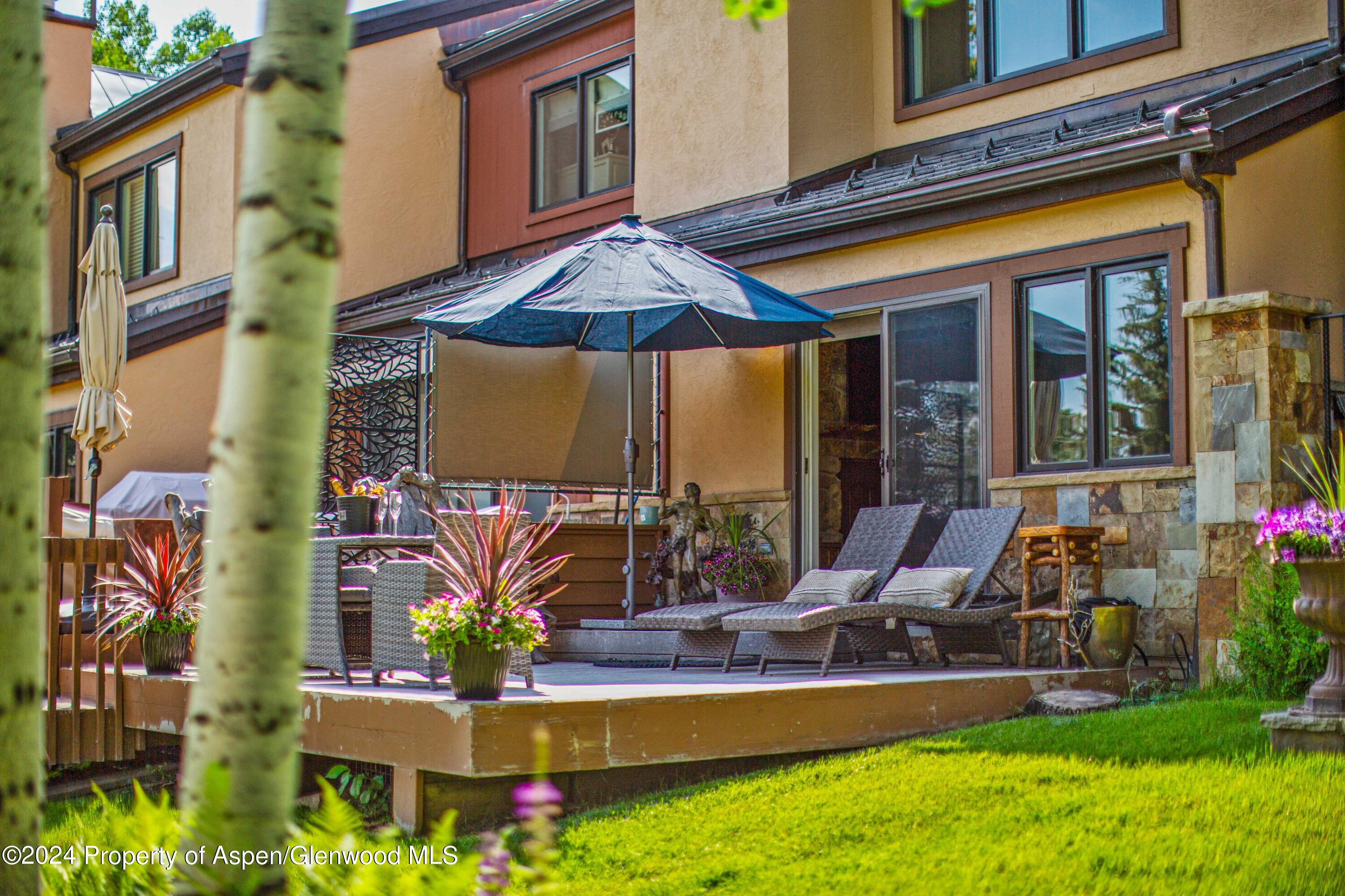 115 Harleston Green Snowmass Village CO 81615