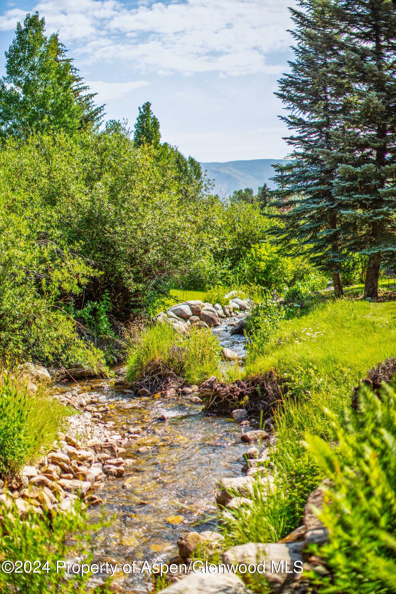 115 Harleston Green Snowmass Village CO 81615