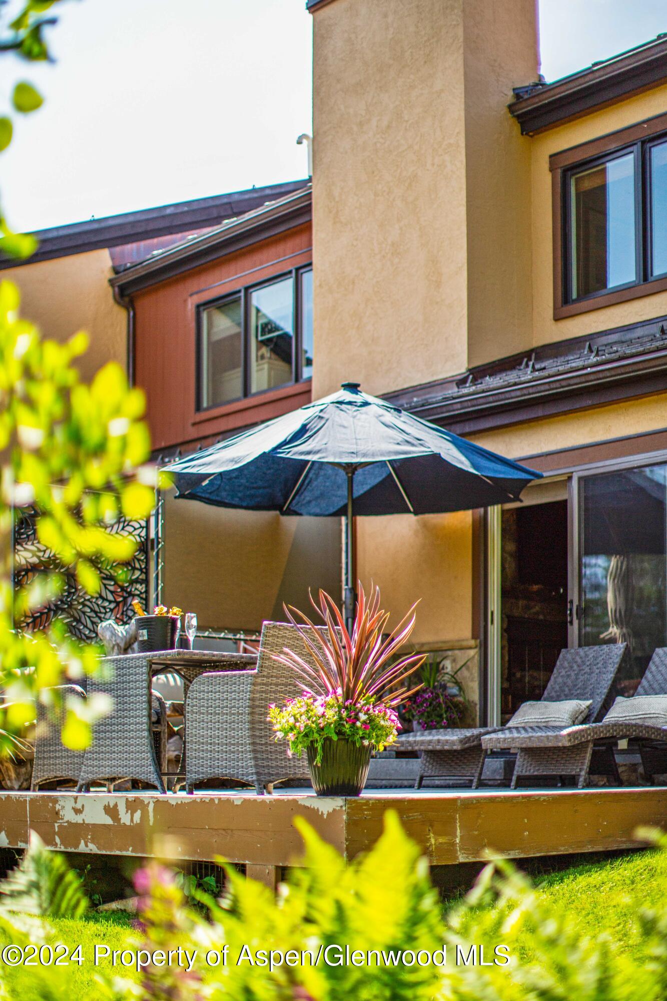 115 Harleston Green Snowmass Village CO 81615