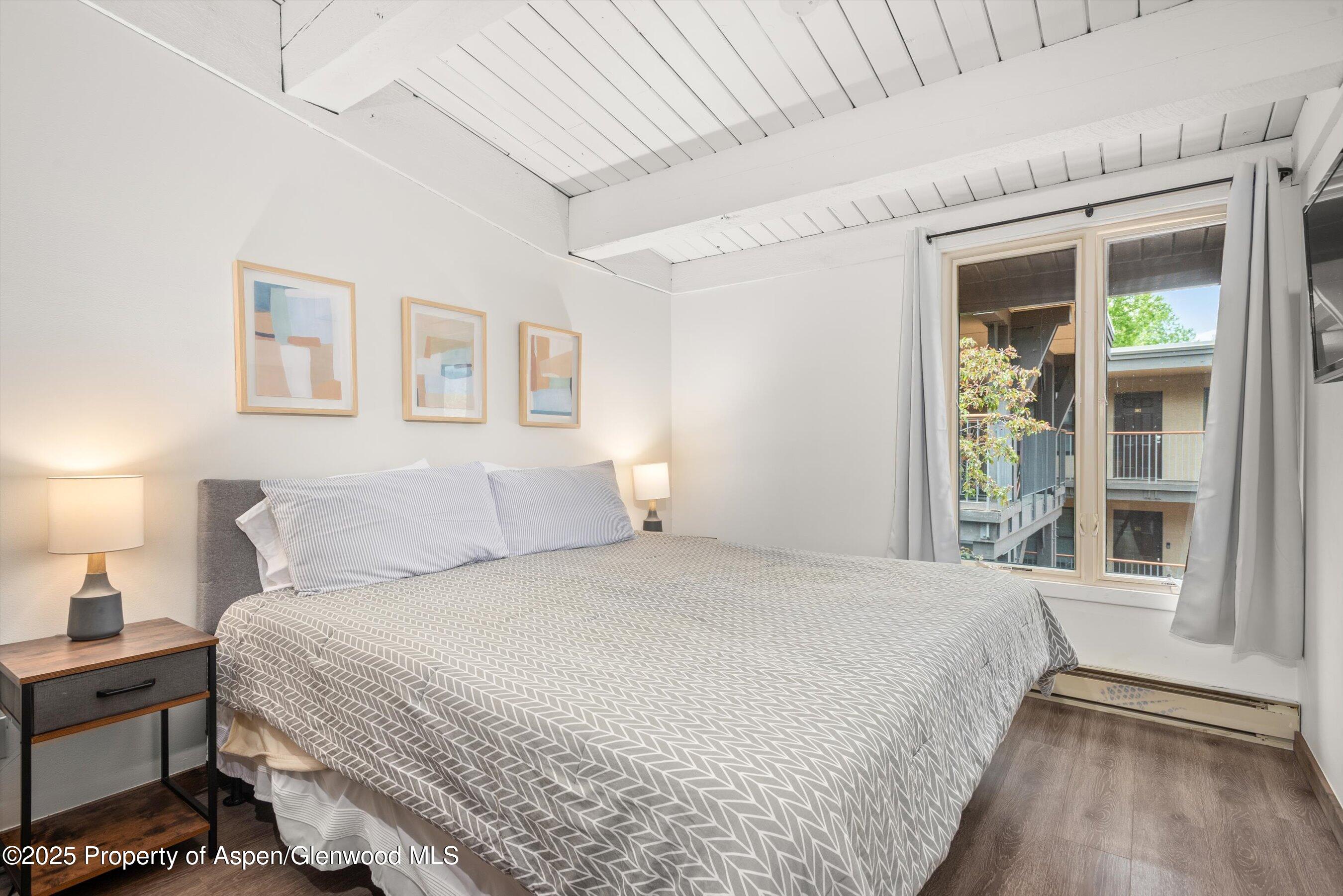 1039 E Cooper Avenue Aspen CO 81611