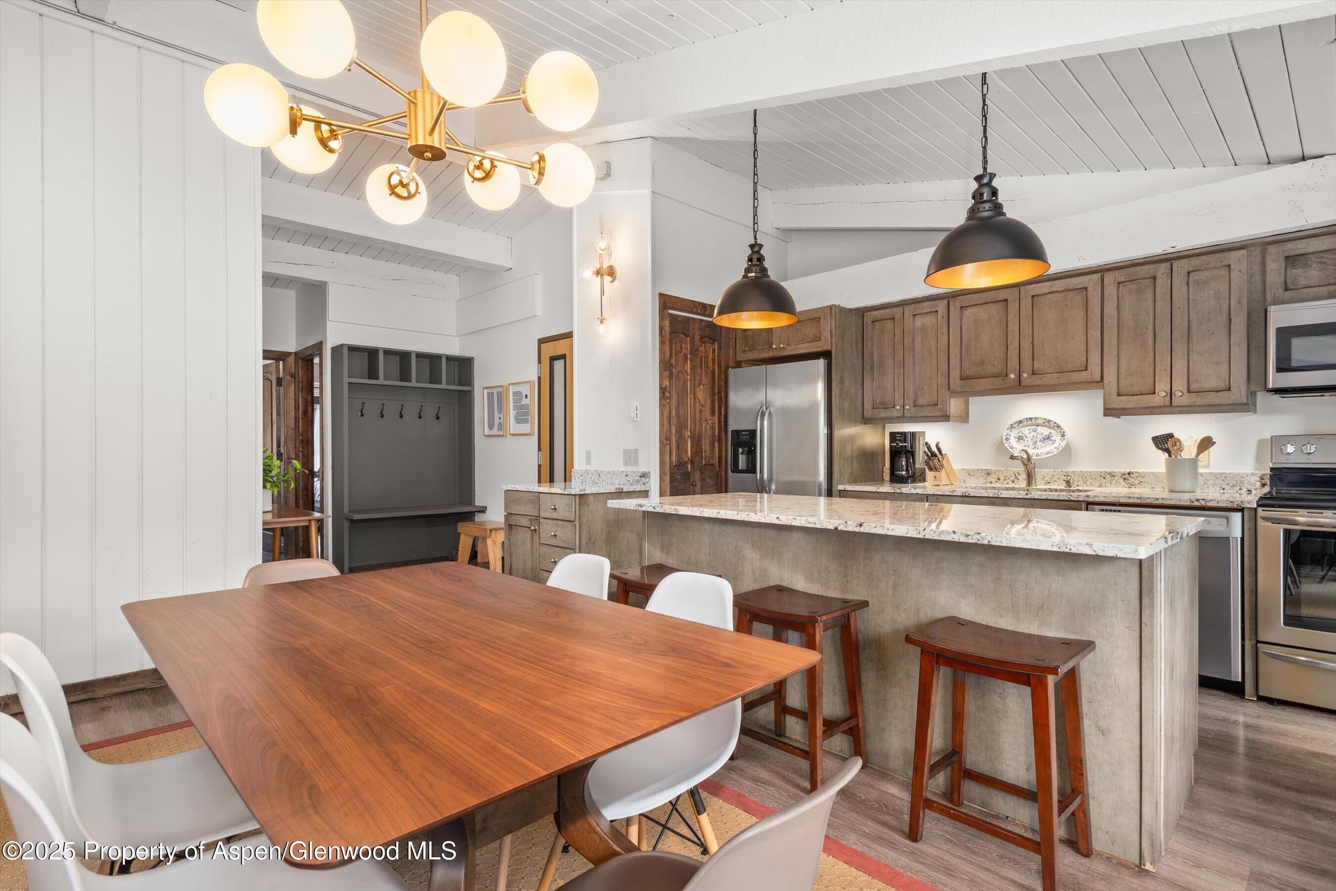 1039 E Cooper Avenue Aspen CO 81611