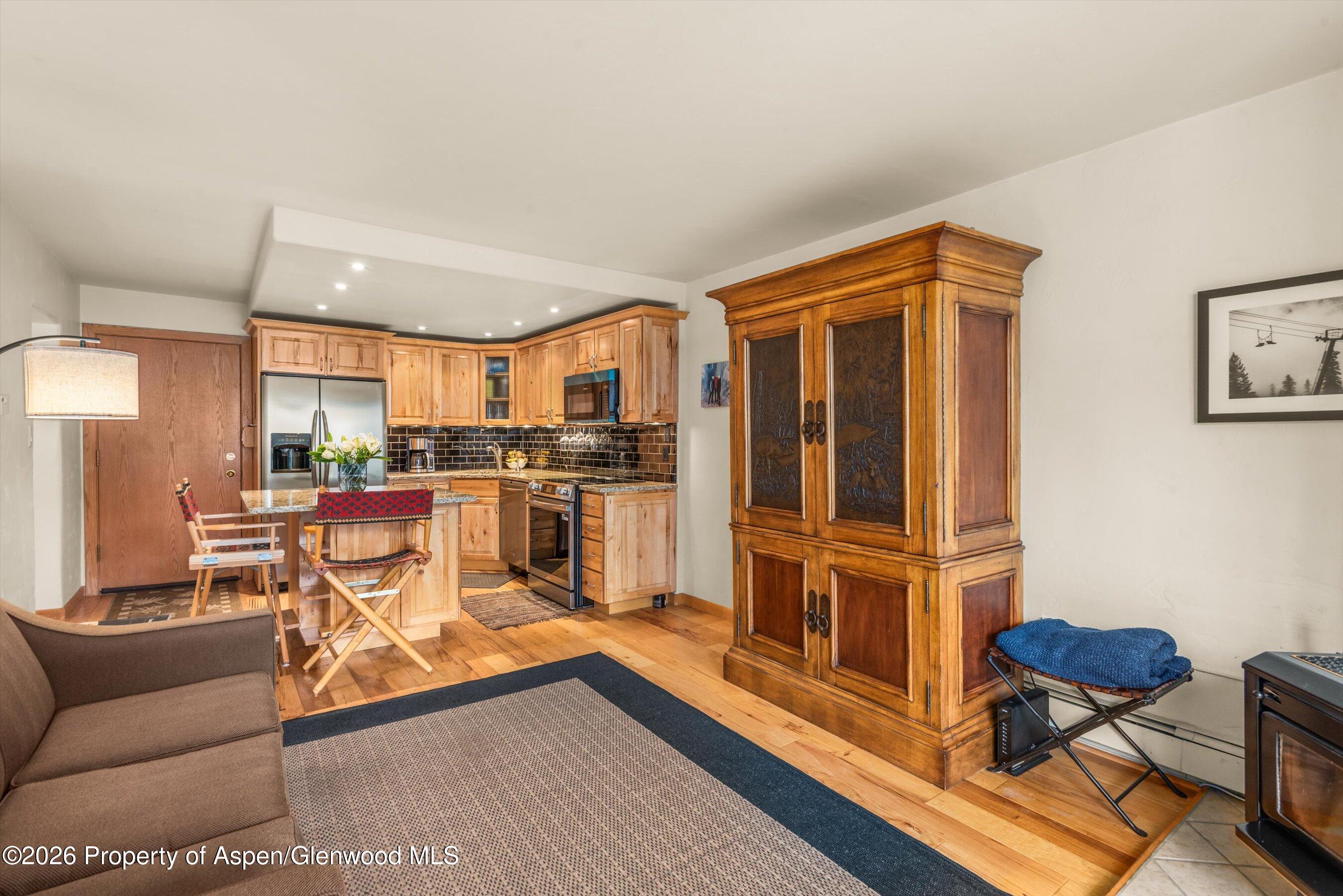 236 Vine Street Aspen CO 81611