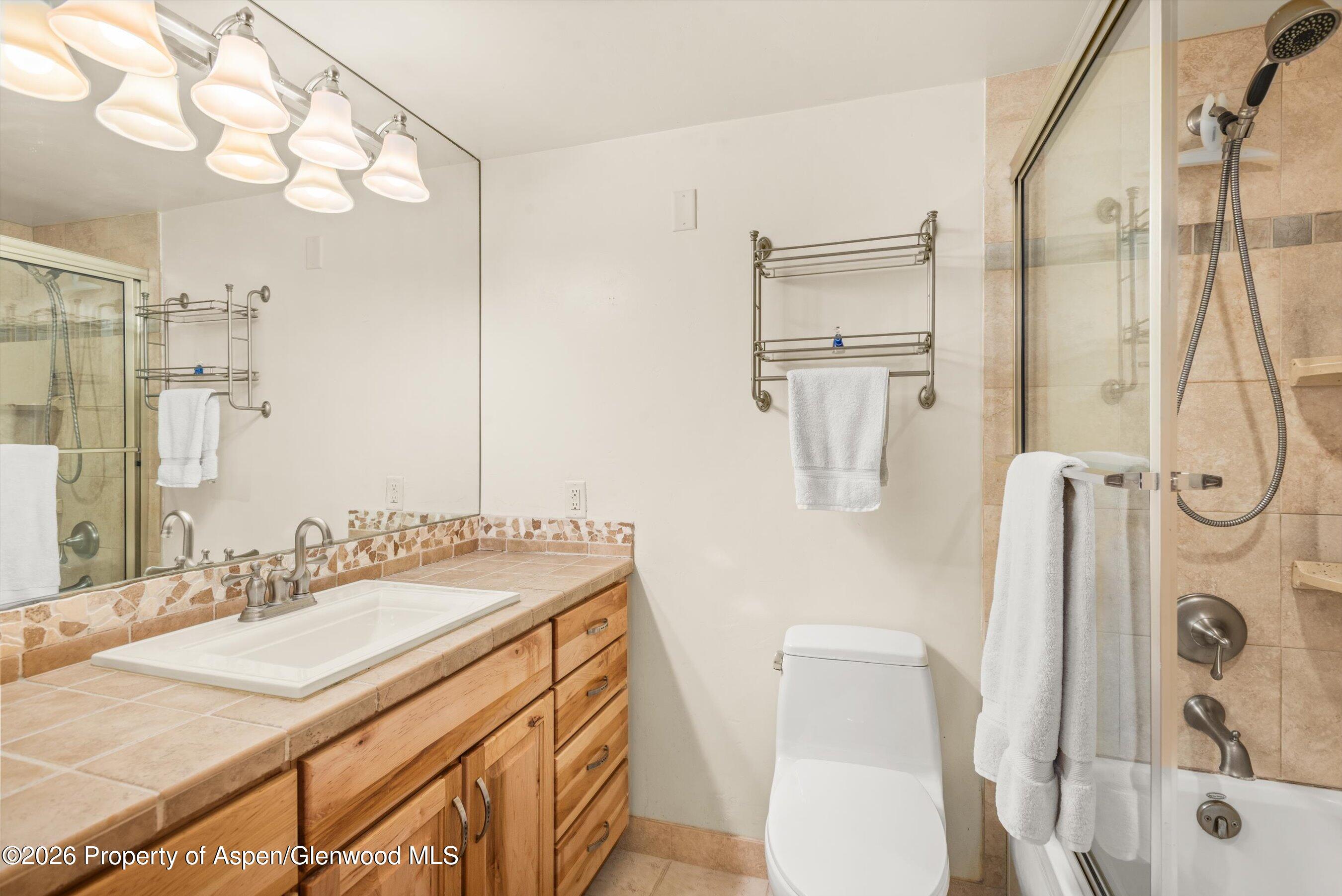 236 Vine Street Aspen CO 81611