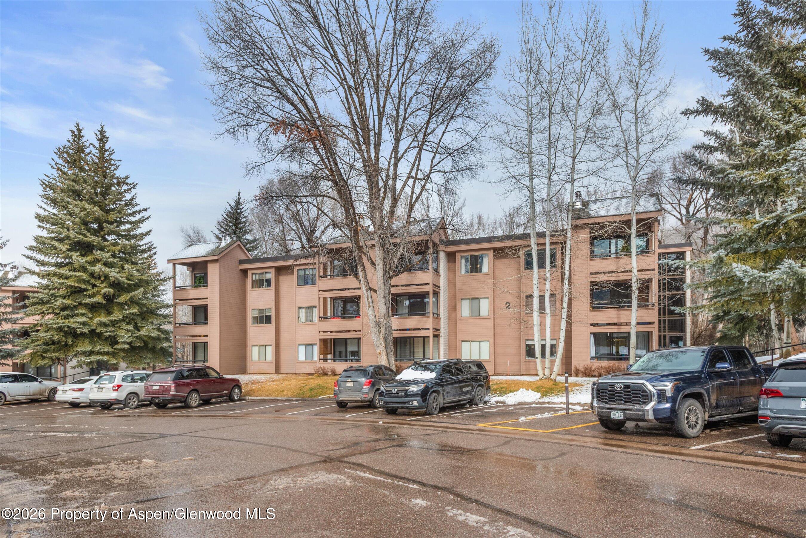 236 Vine Street Aspen CO 81611