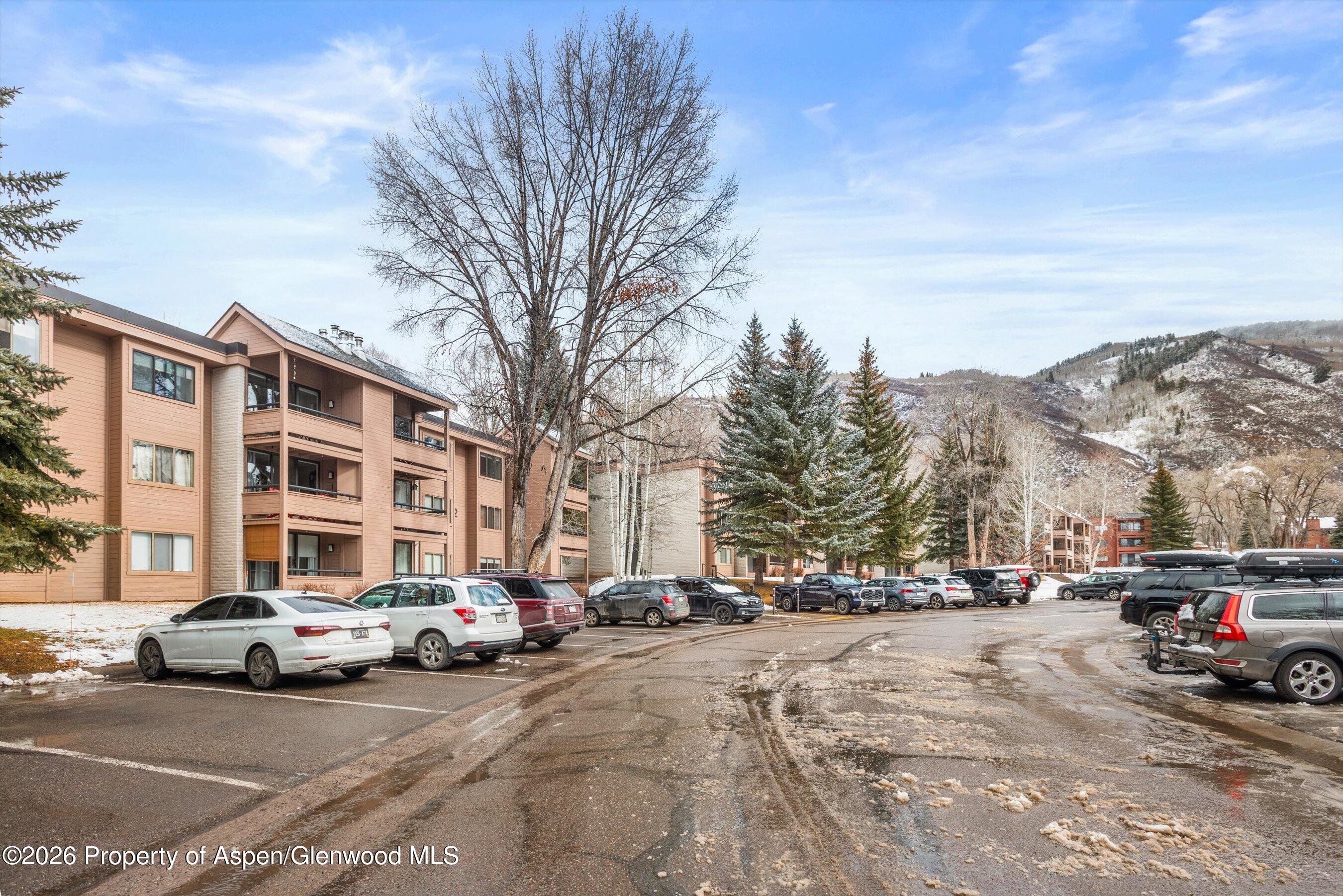 236 Vine Street Aspen CO 81611