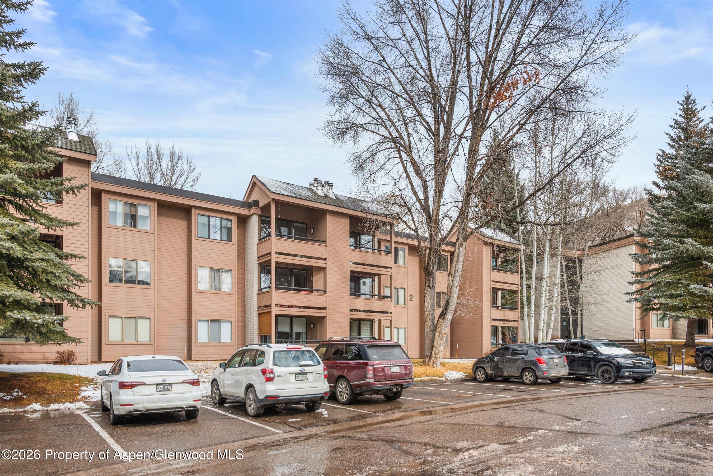 236 Vine Street Aspen CO 81611