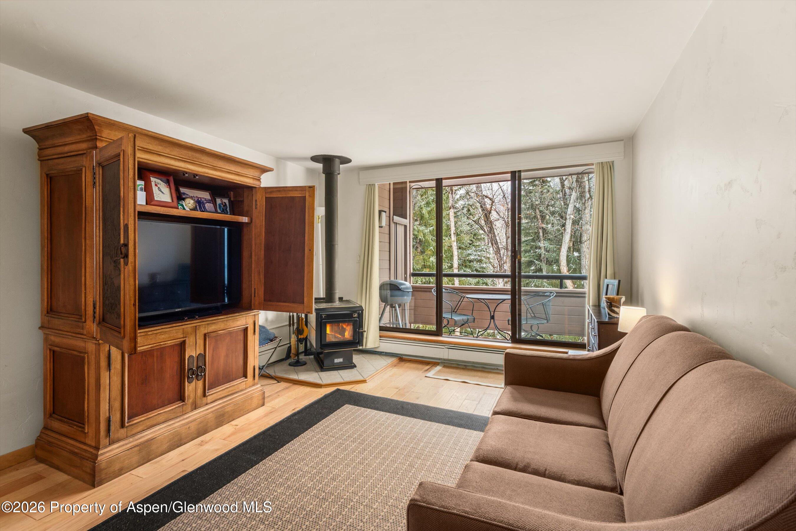 236 Vine Street Aspen CO 81611