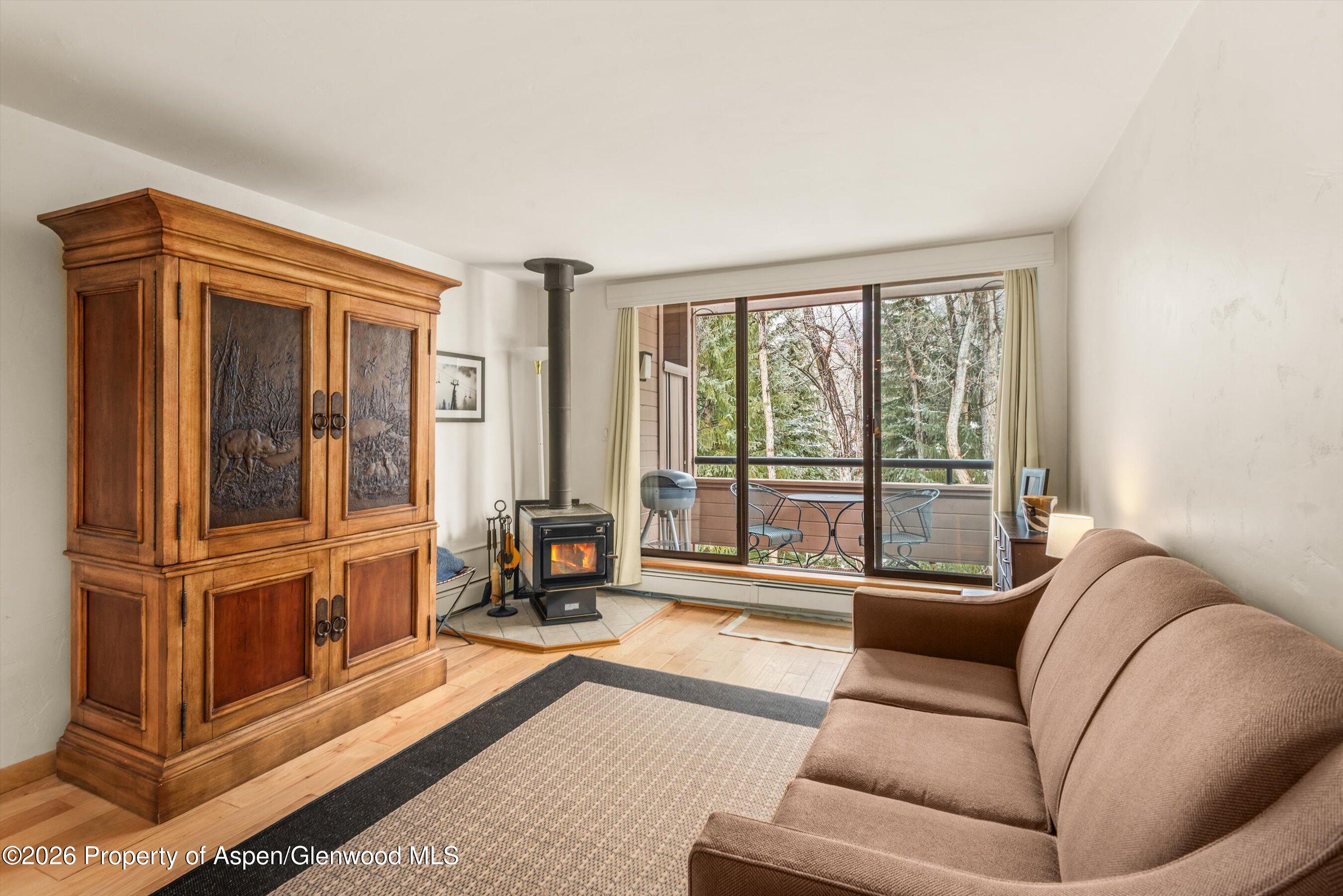 236 Vine Street Aspen CO 81611