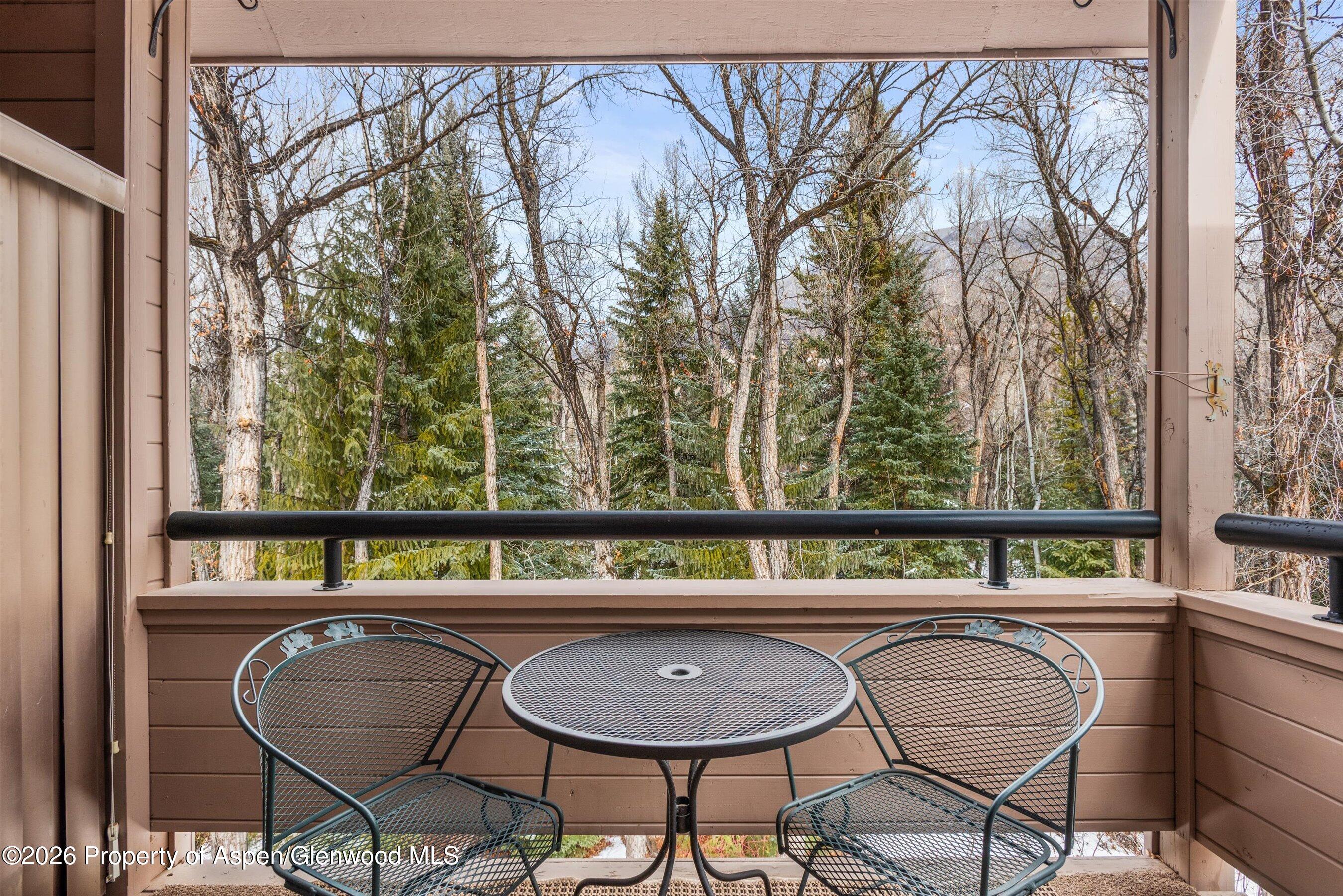 236 Vine Street Aspen CO 81611