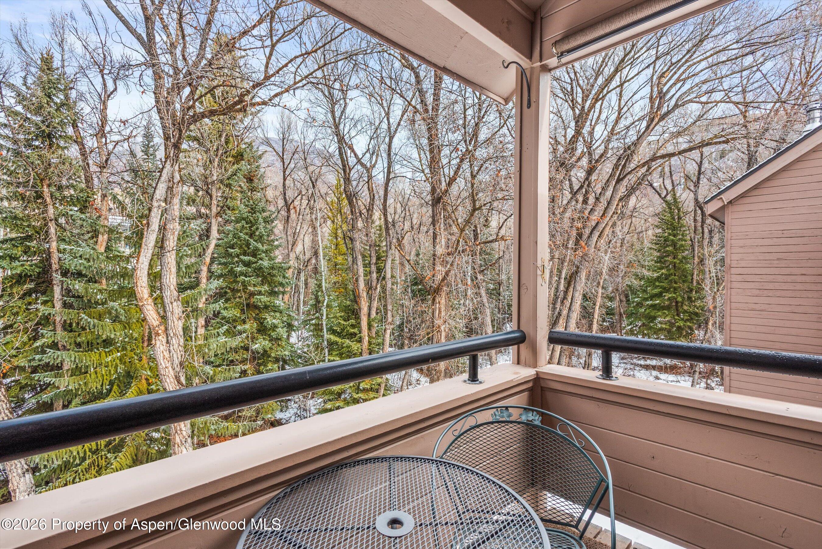 236 Vine Street Aspen CO 81611