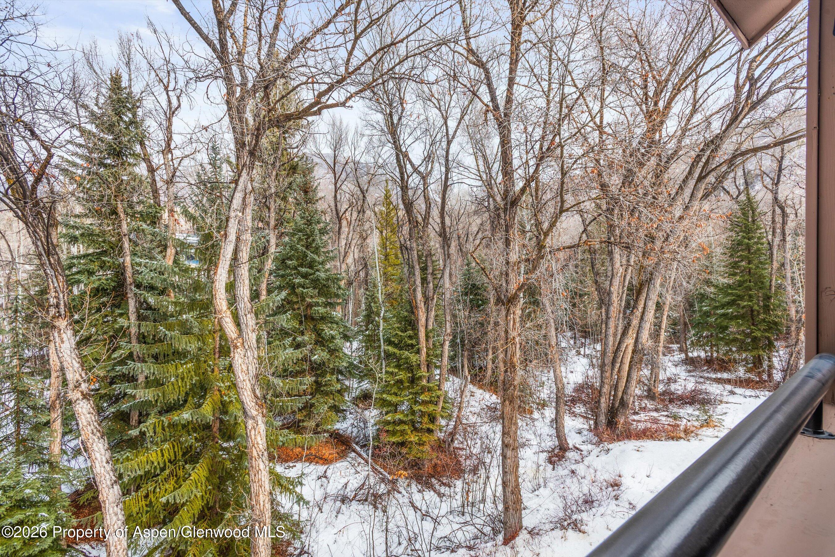 236 Vine Street Aspen CO 81611