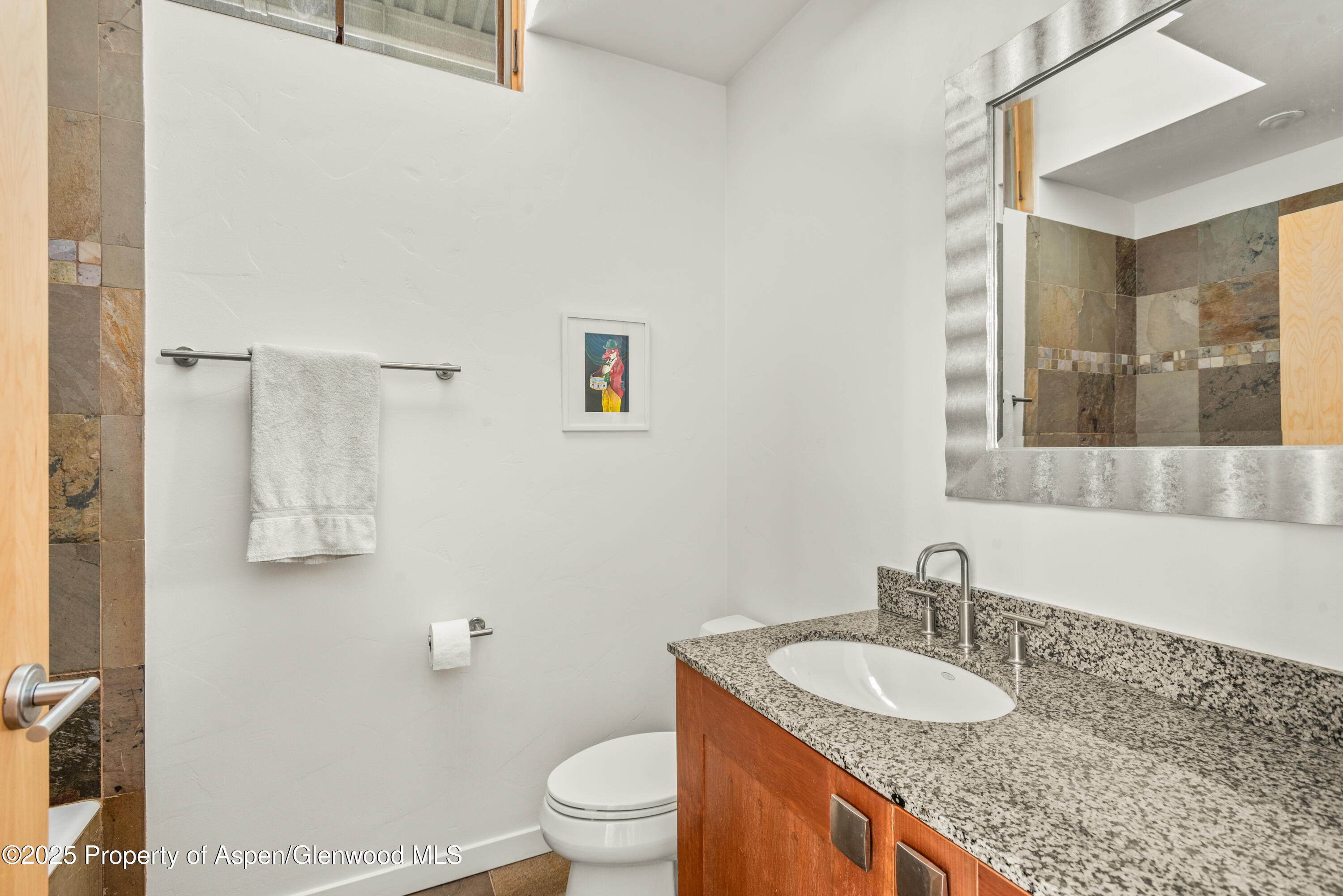 231 Robinson Street Basalt CO 81621