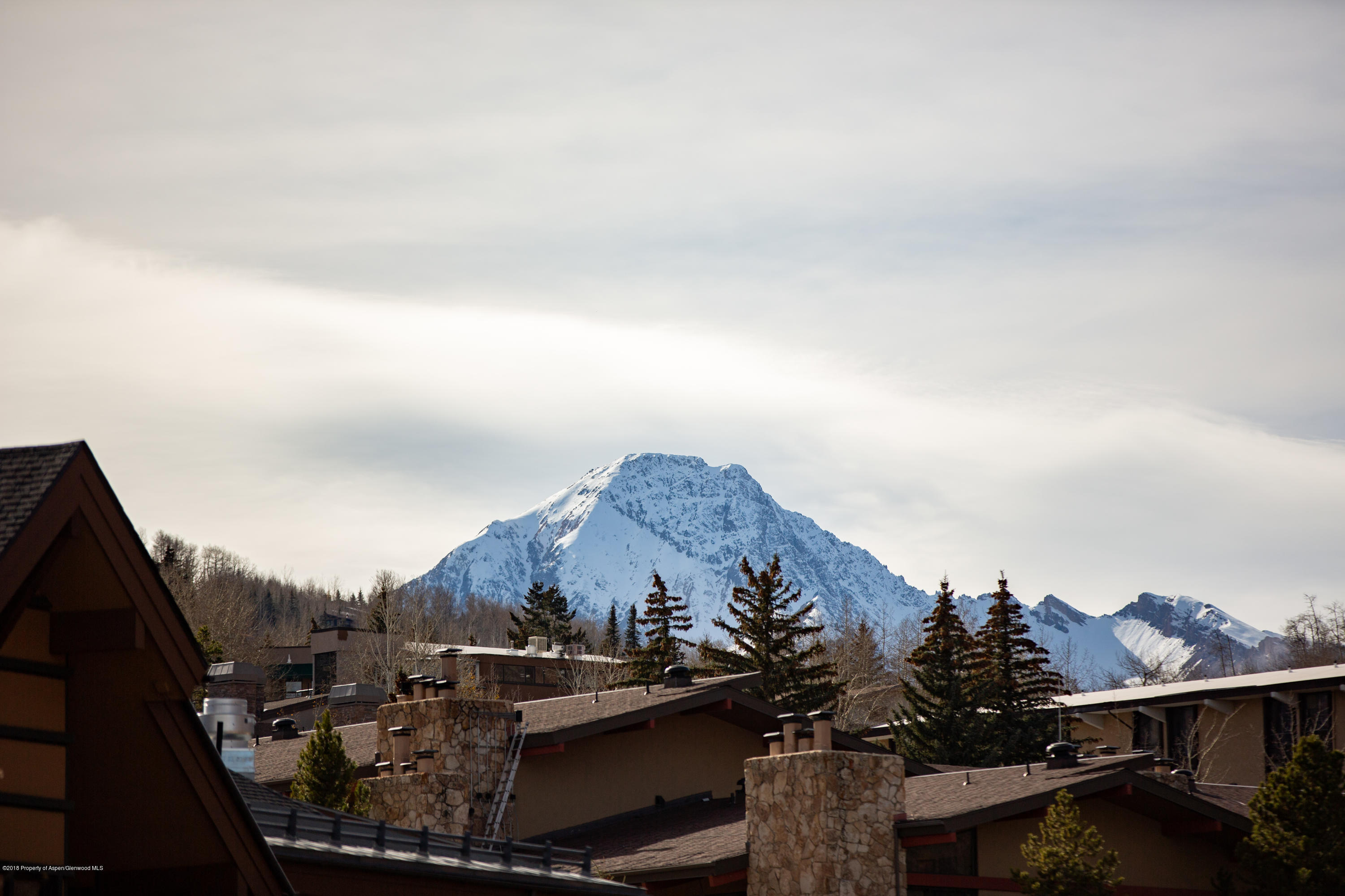 90 Carriage Way Snowmass Village CO 81615