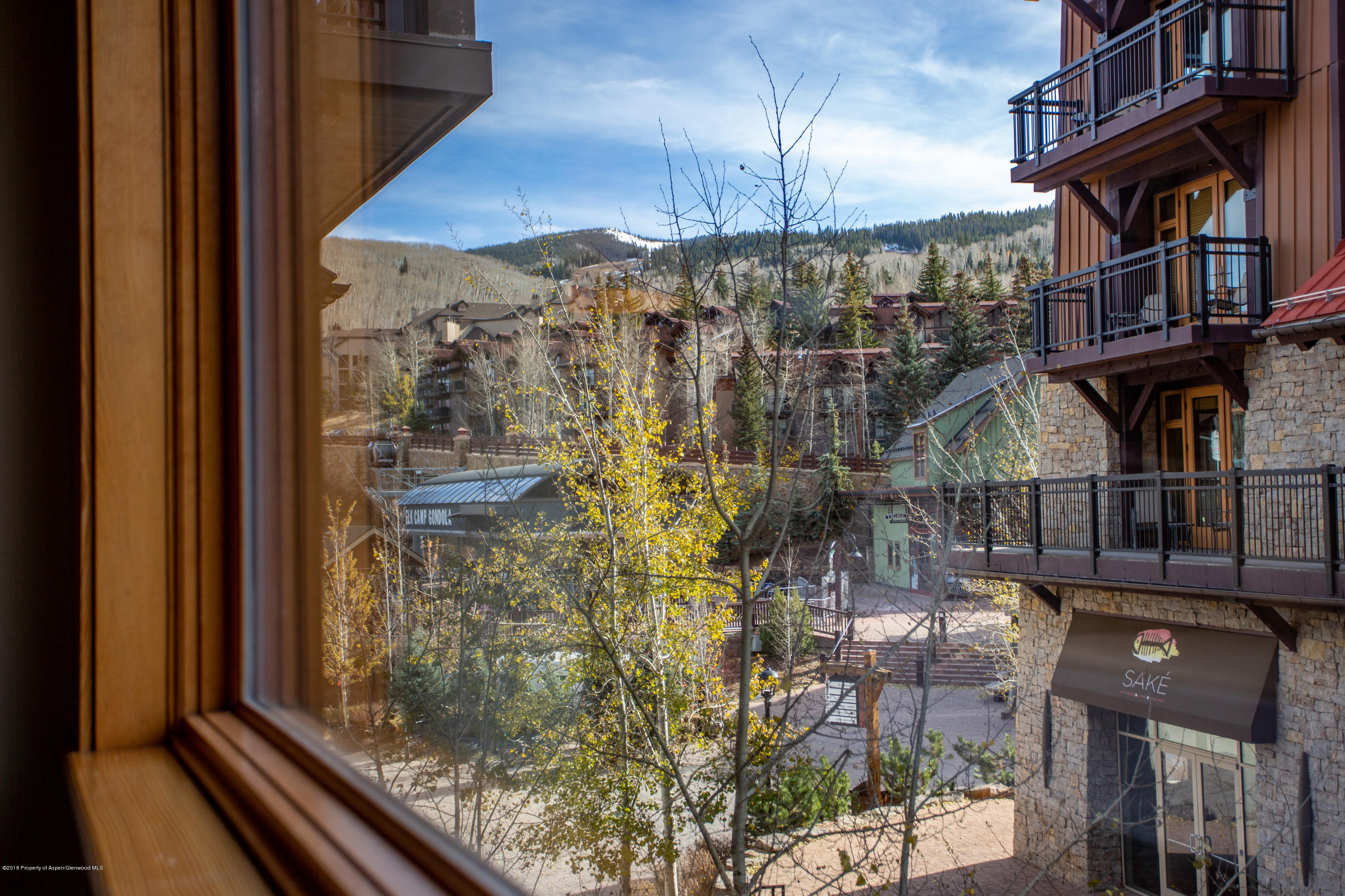 90 Carriage Way Snowmass Village CO 81615