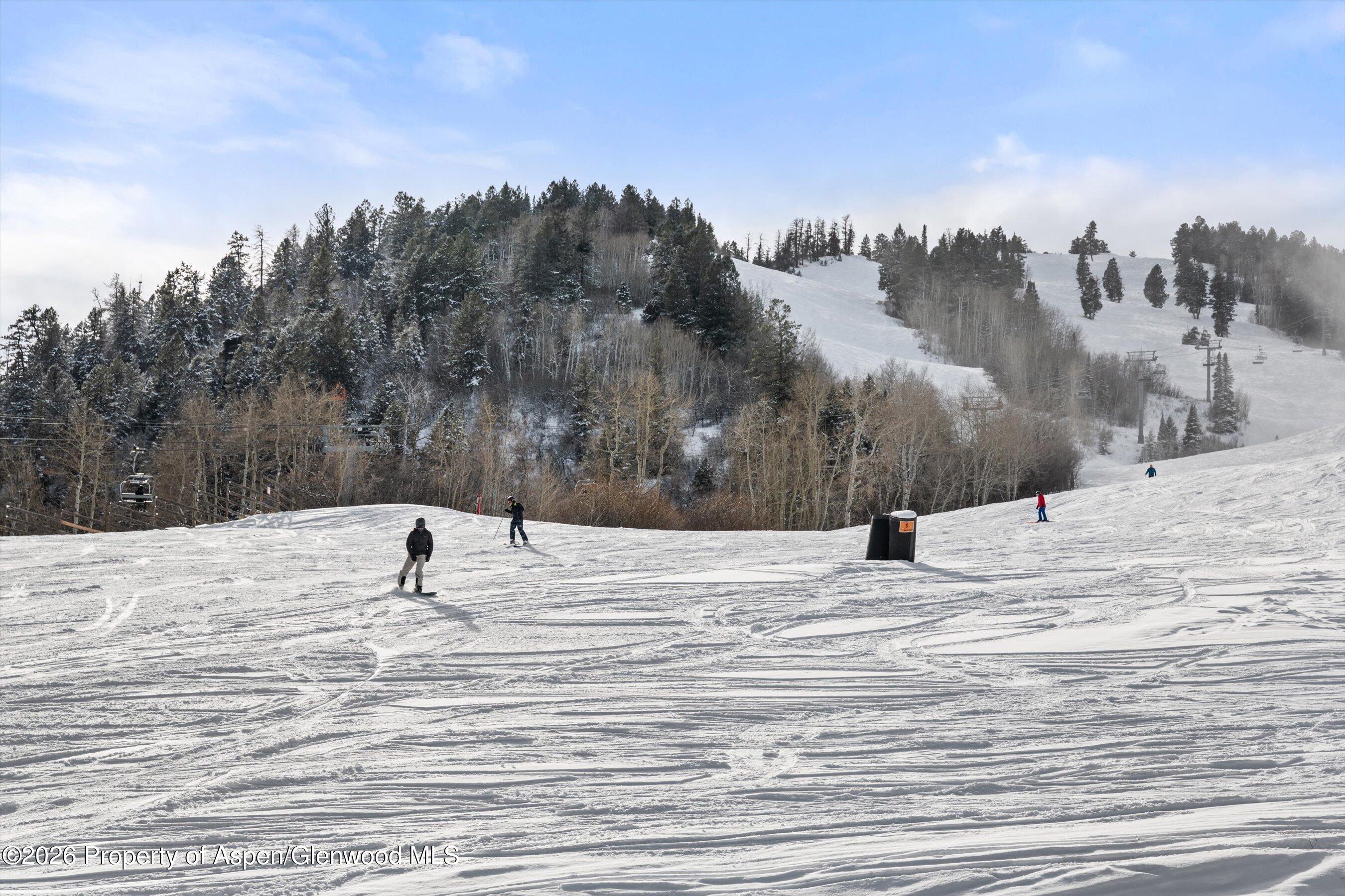 510 Oregon Trail Aspen CO 81611