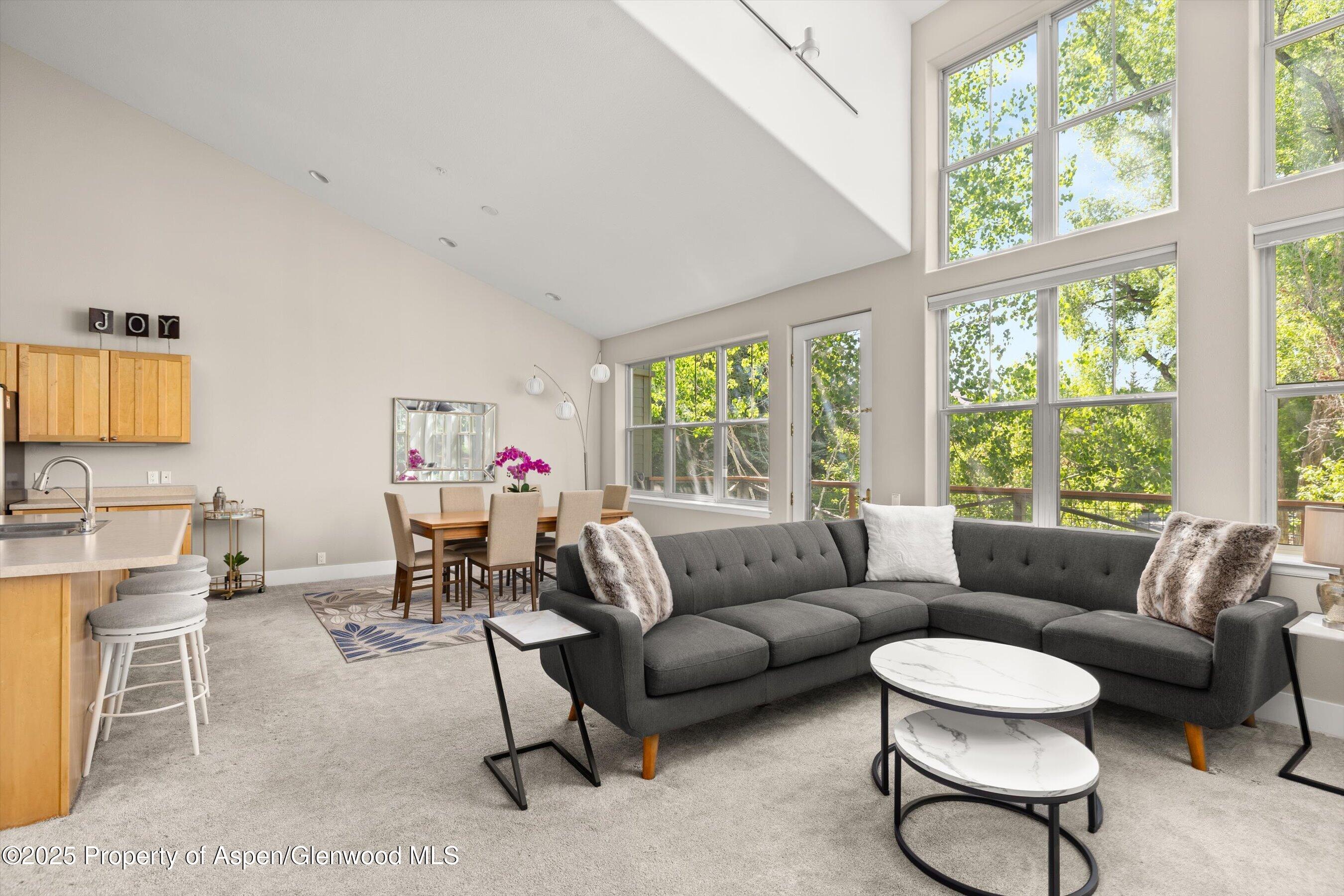 612 Evans Court Basalt CO 81621