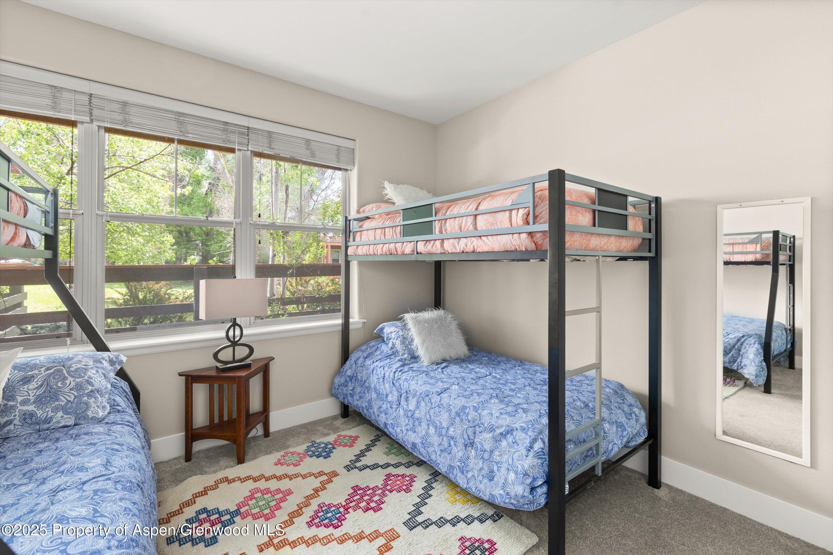 612 Evans Court Basalt CO 81621