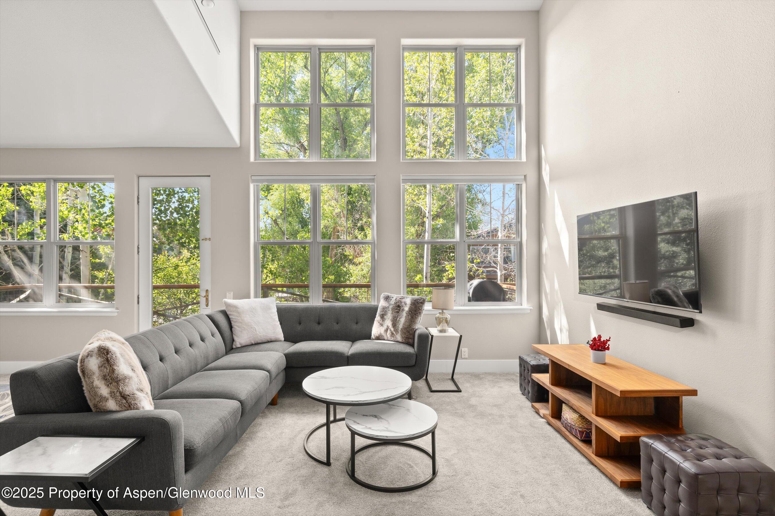 612 Evans Court Basalt CO 81621