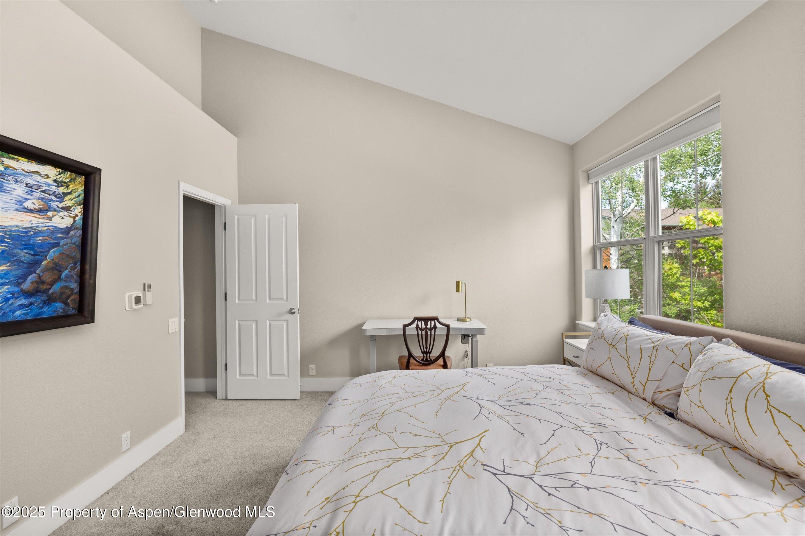 612 Evans Court Basalt CO 81621