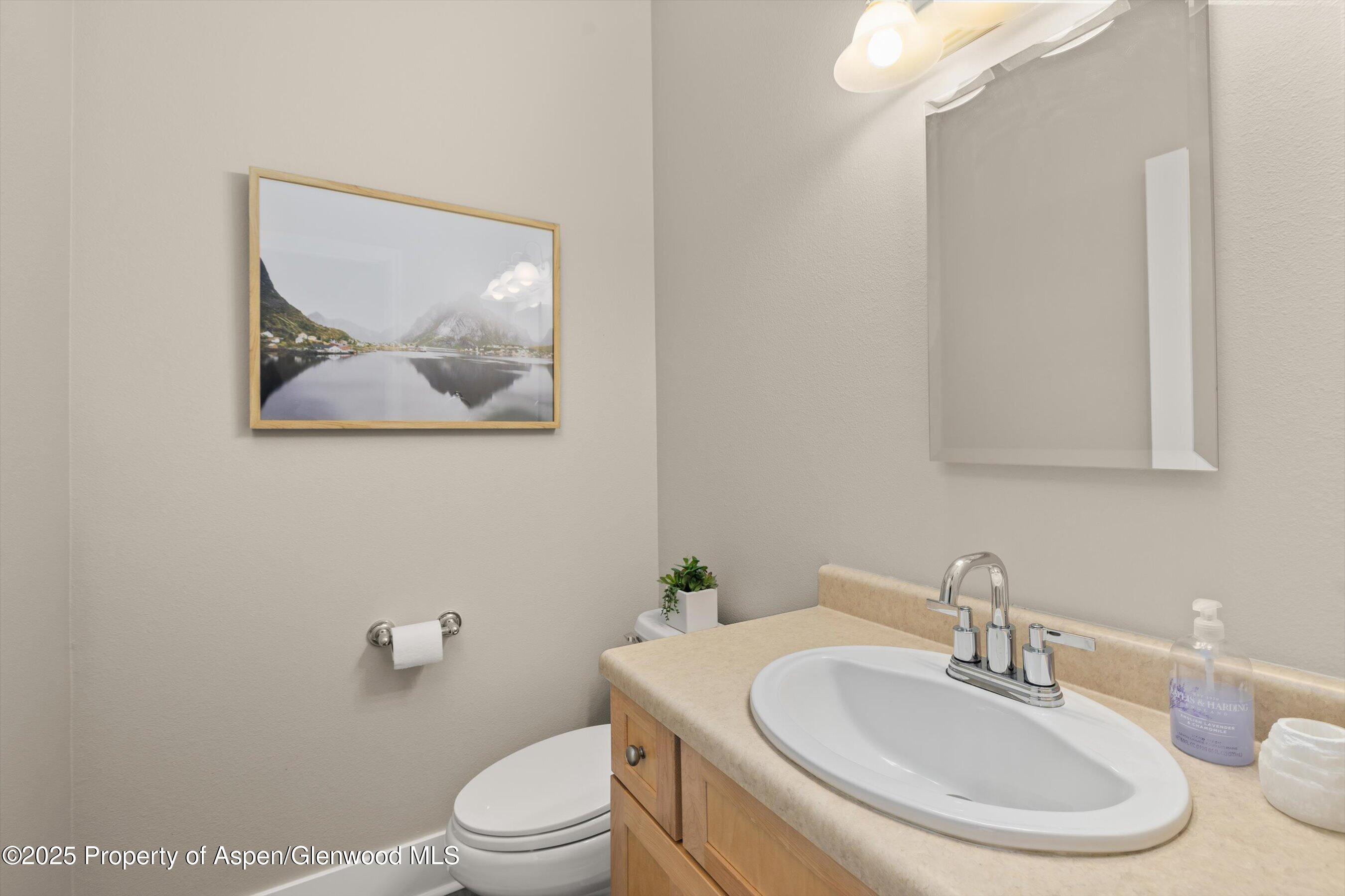 612 Evans Court Basalt CO 81621