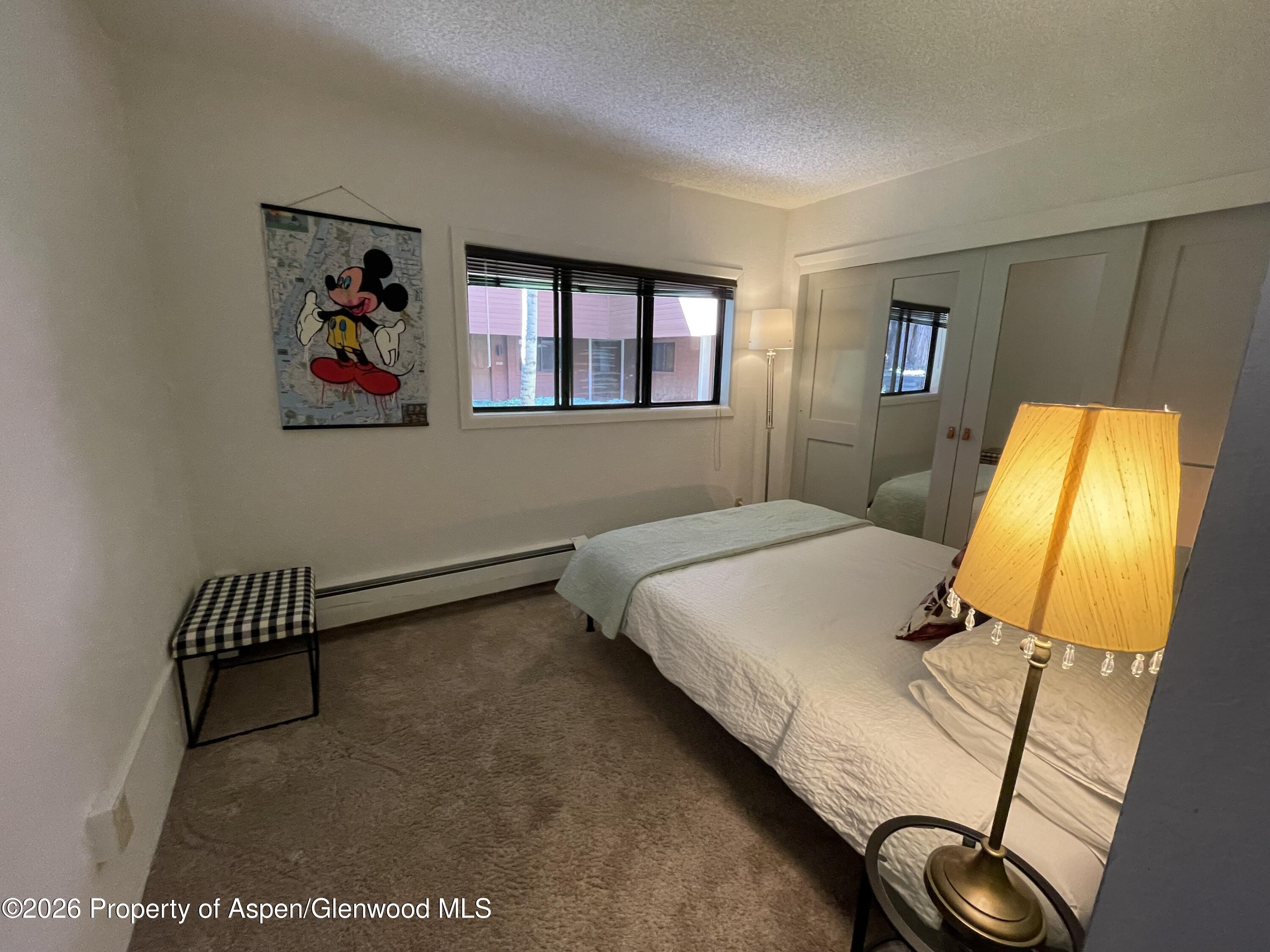 907 Vine Street Aspen CO 81611