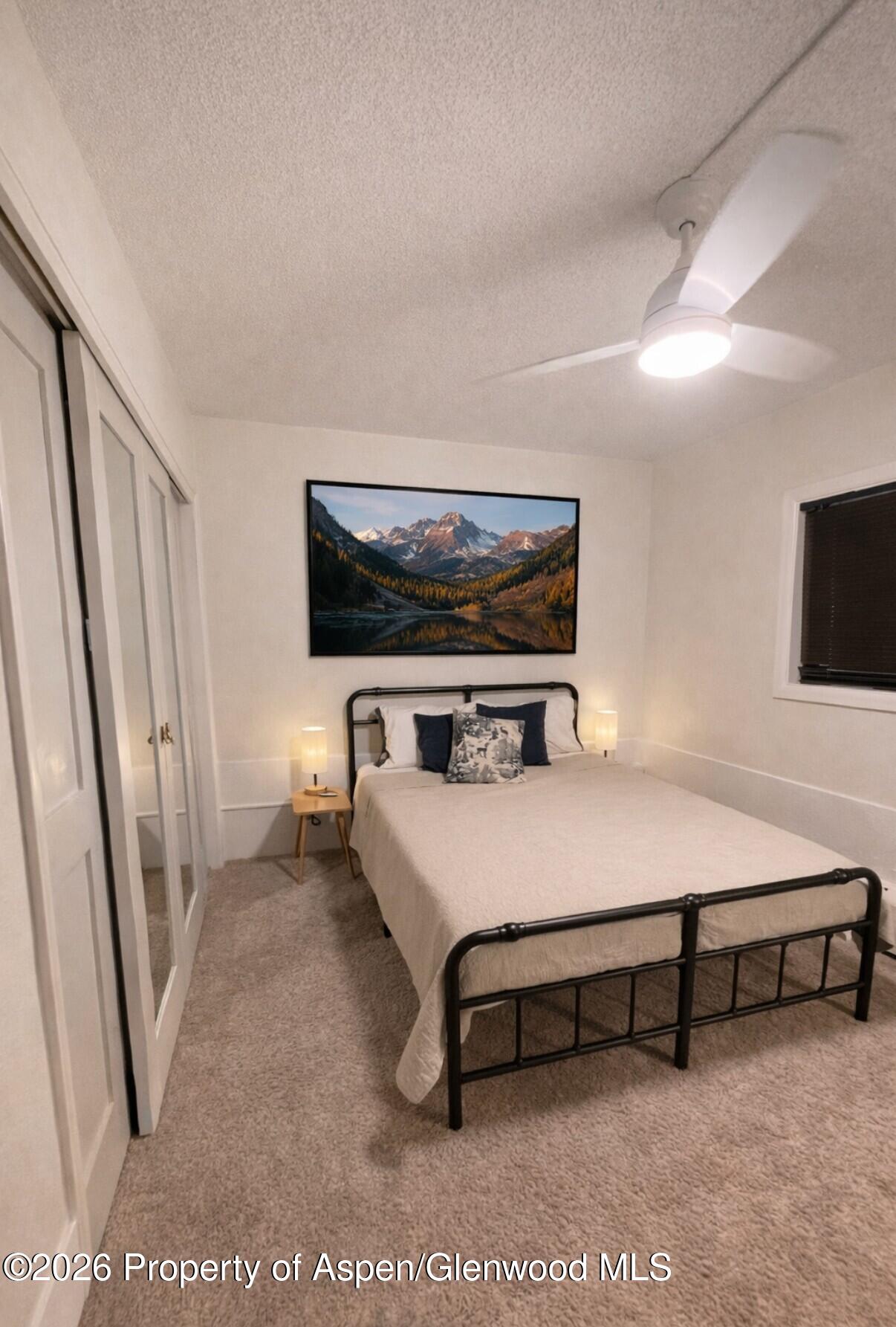 907 Vine Street Aspen CO 81611