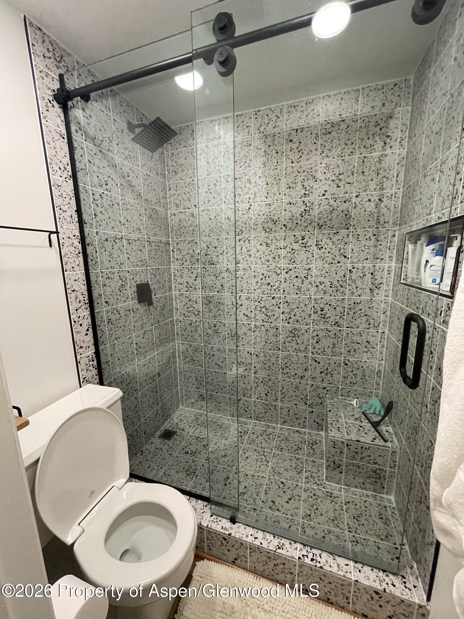 907 Vine Street Aspen CO 81611