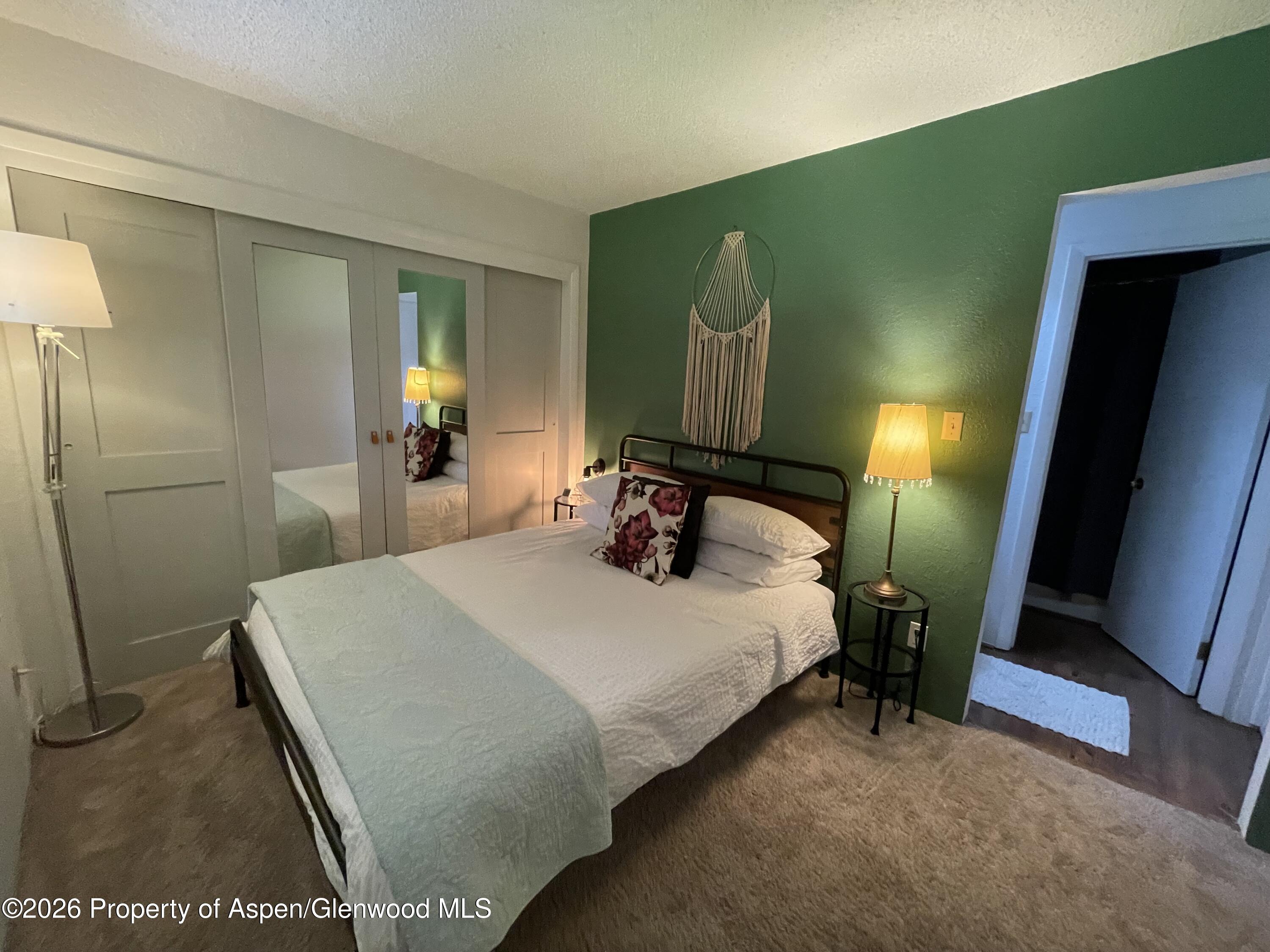 907 Vine Street Aspen CO 81611