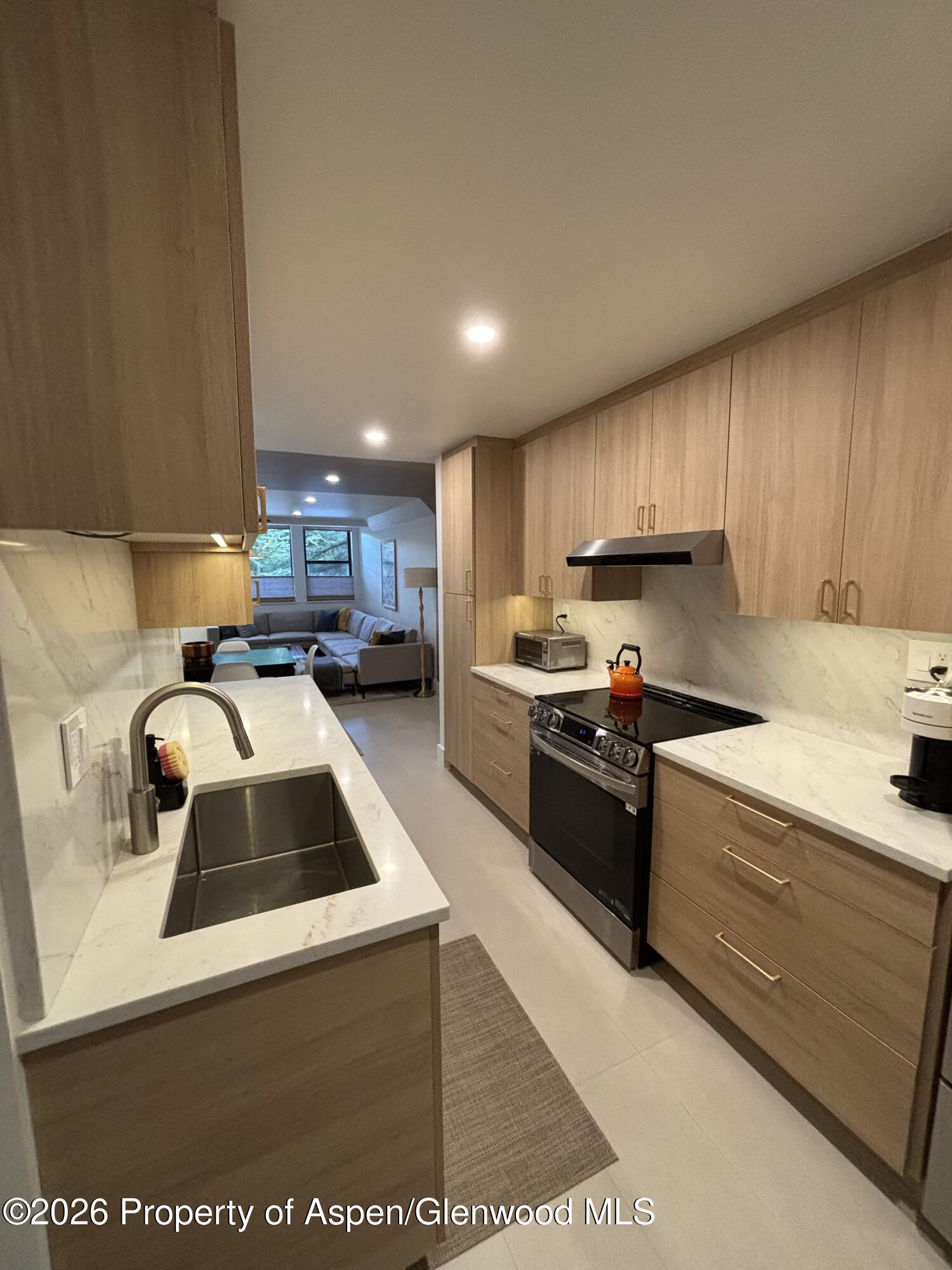 907 Vine Street Aspen CO 81611