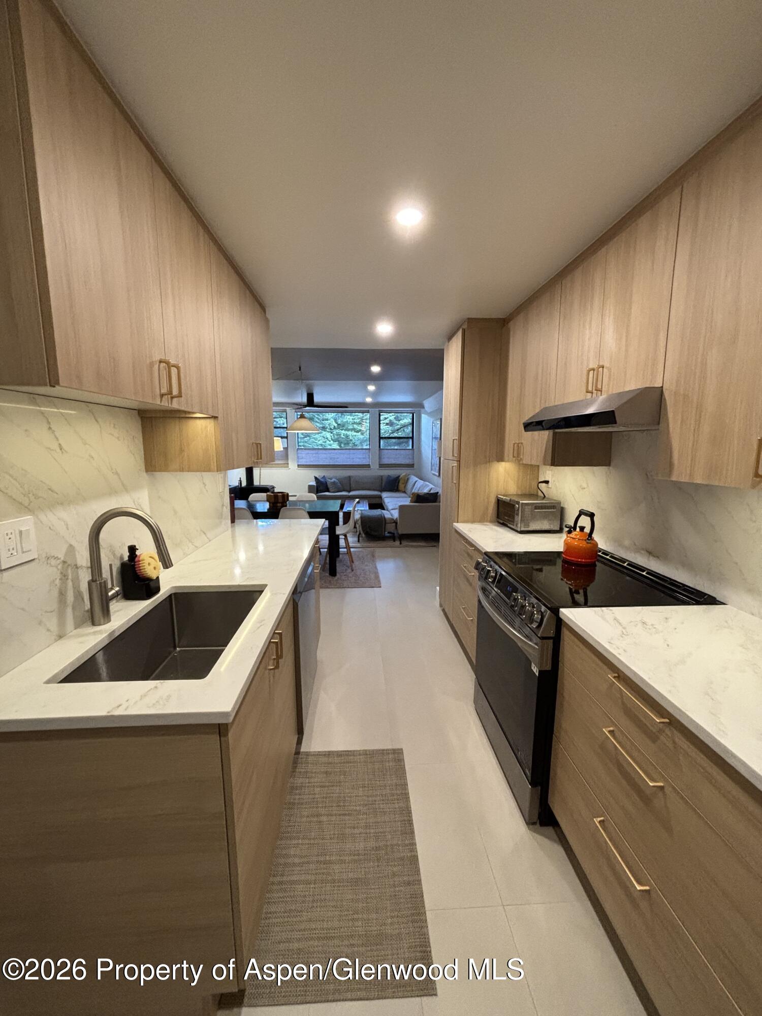 907 Vine Street Aspen CO 81611