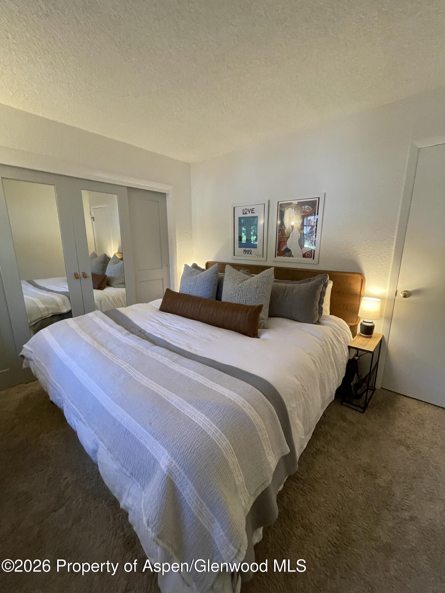 907 Vine Street Aspen CO 81611