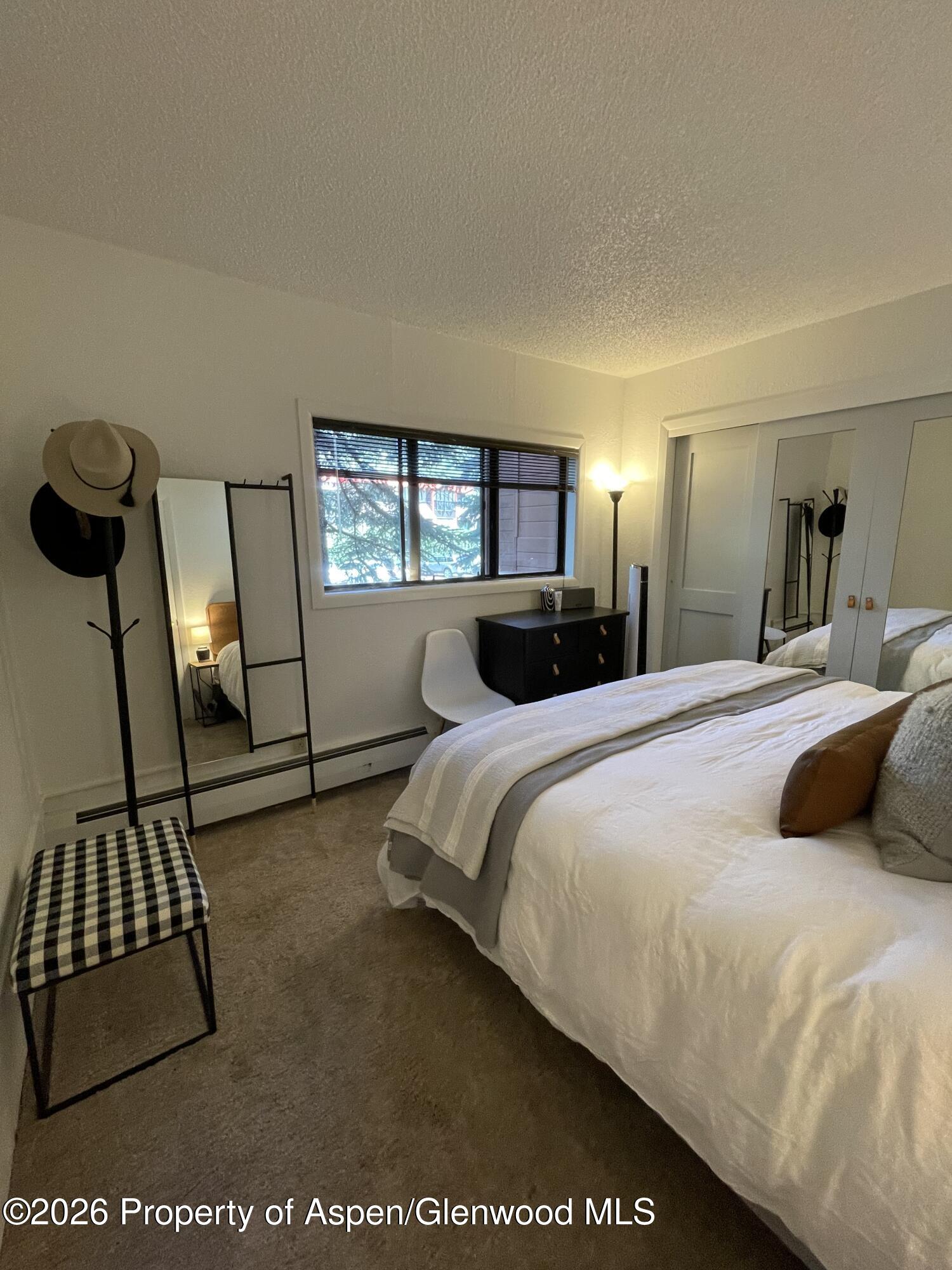 907 Vine Street Aspen CO 81611