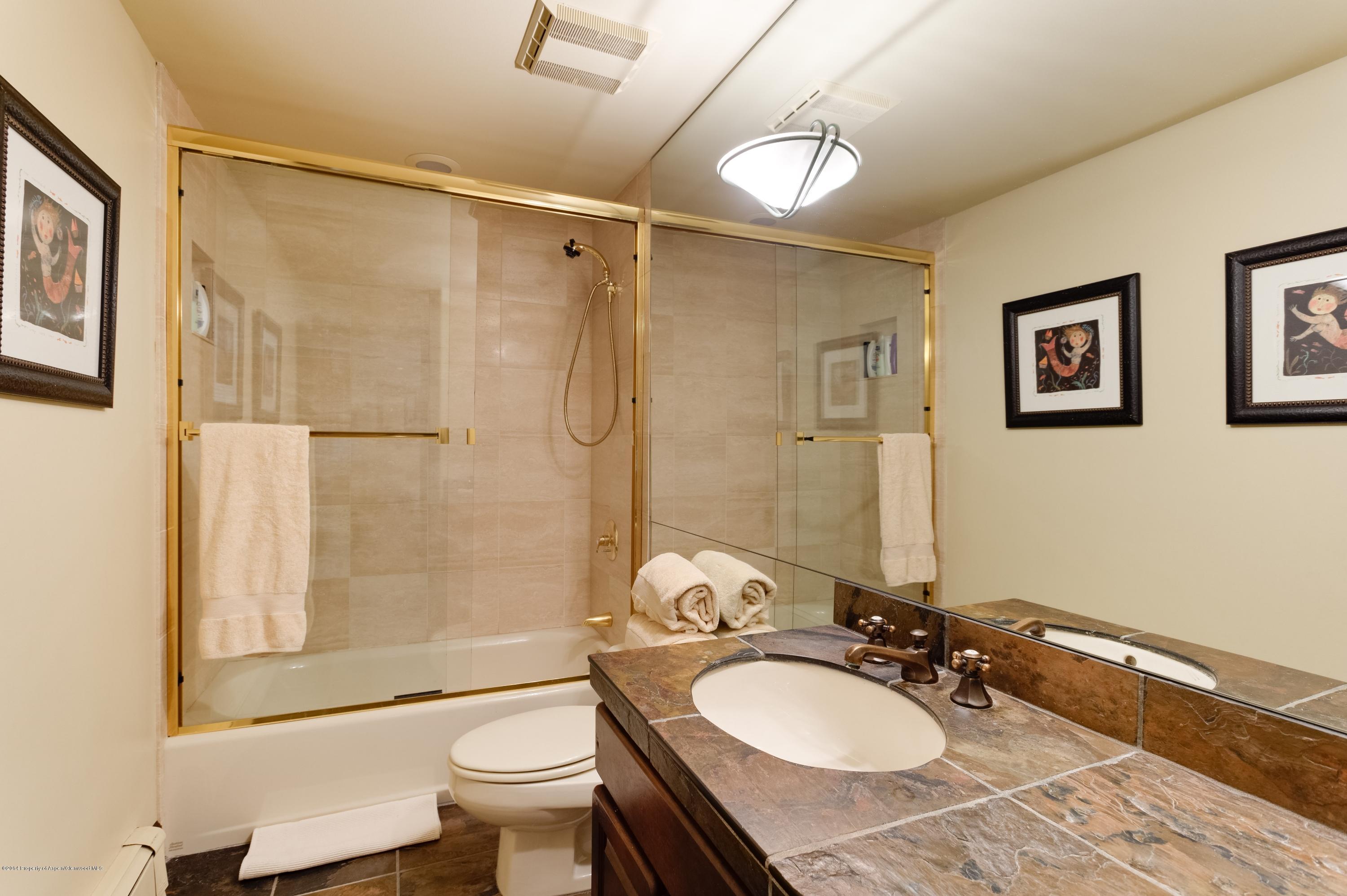 650 Monarch Street Aspen CO 81611