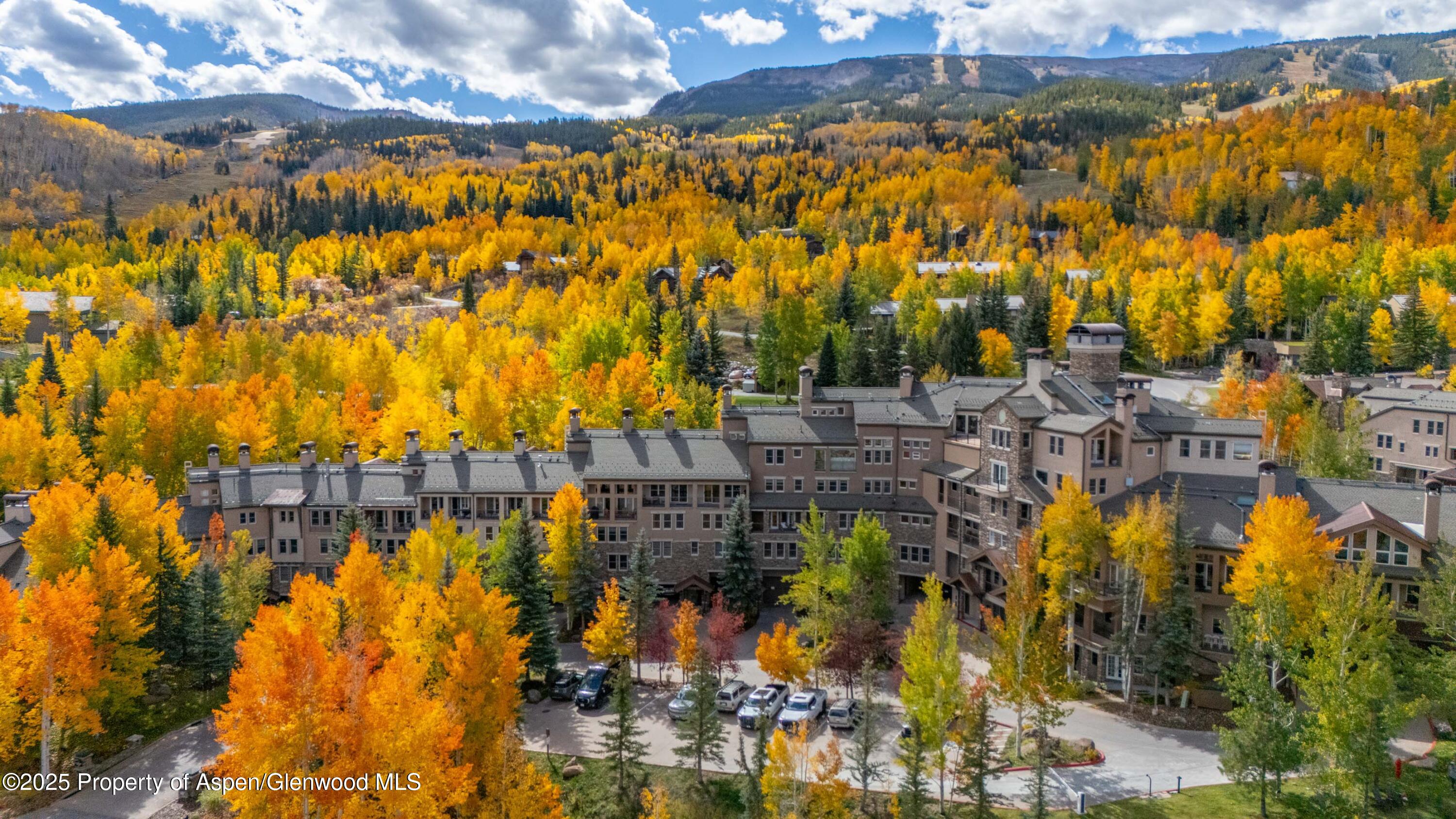 425 Wood Road Snowmass Village CO 81615