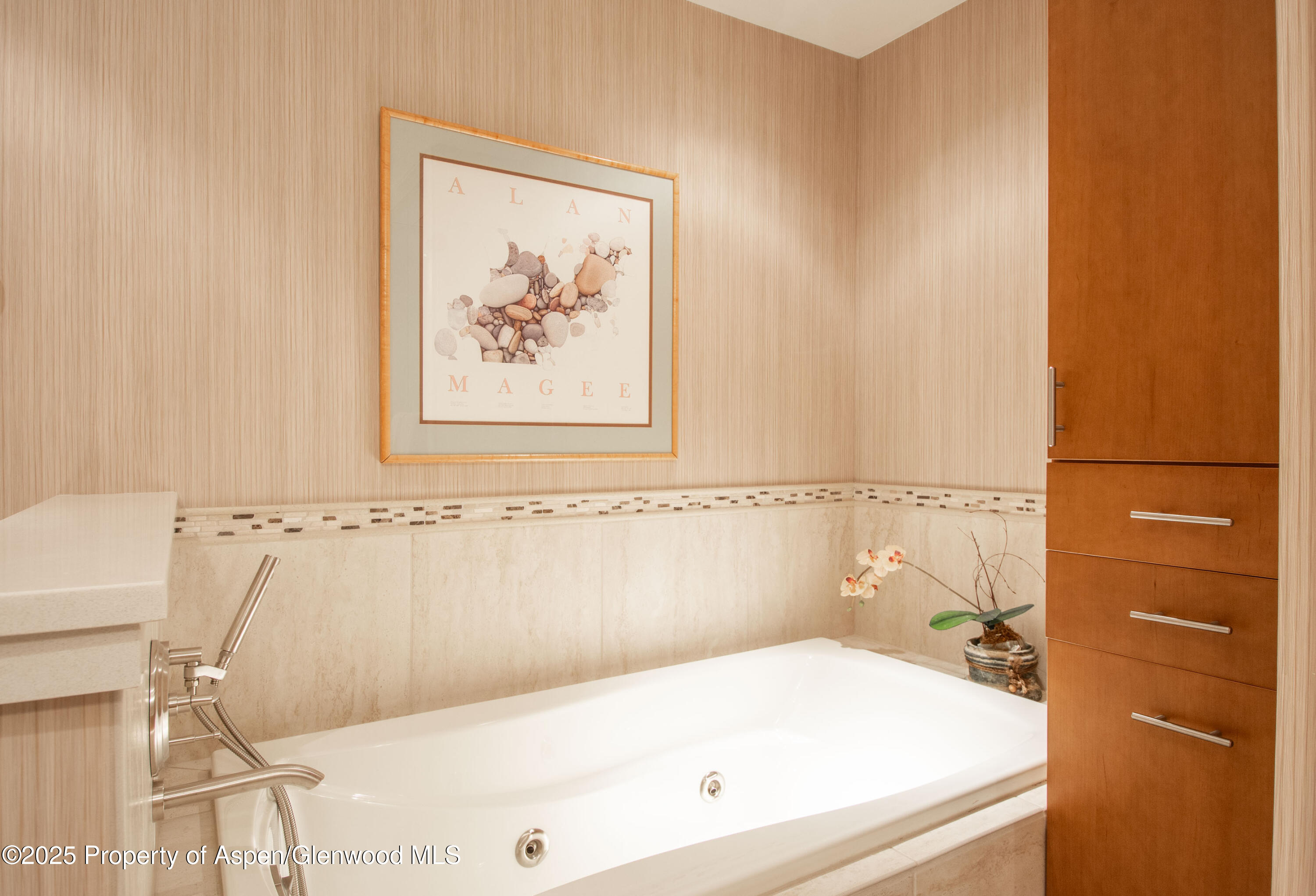 425 Wood Road Snowmass Village CO 81615