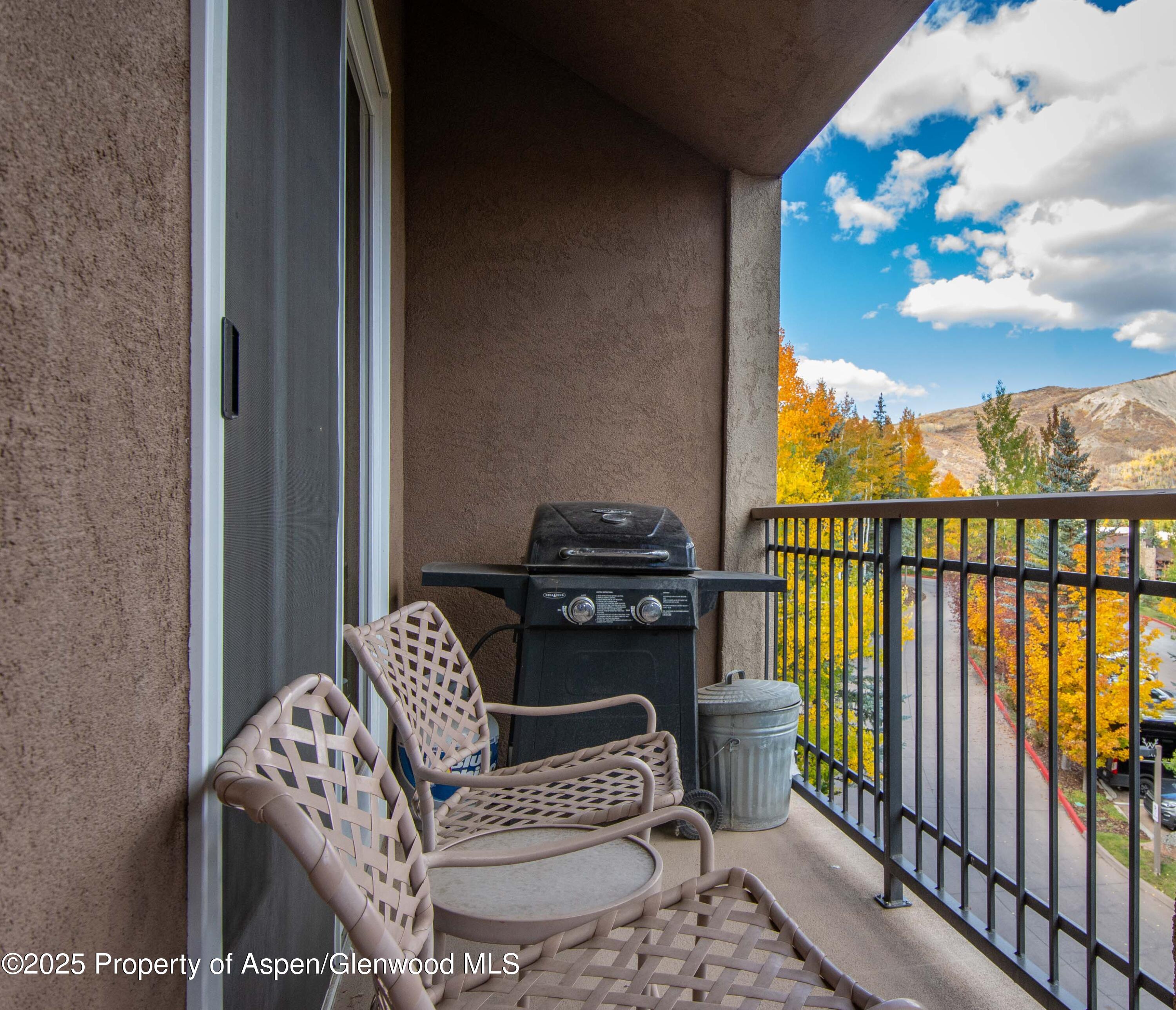 425 Wood Road Snowmass Village CO 81615