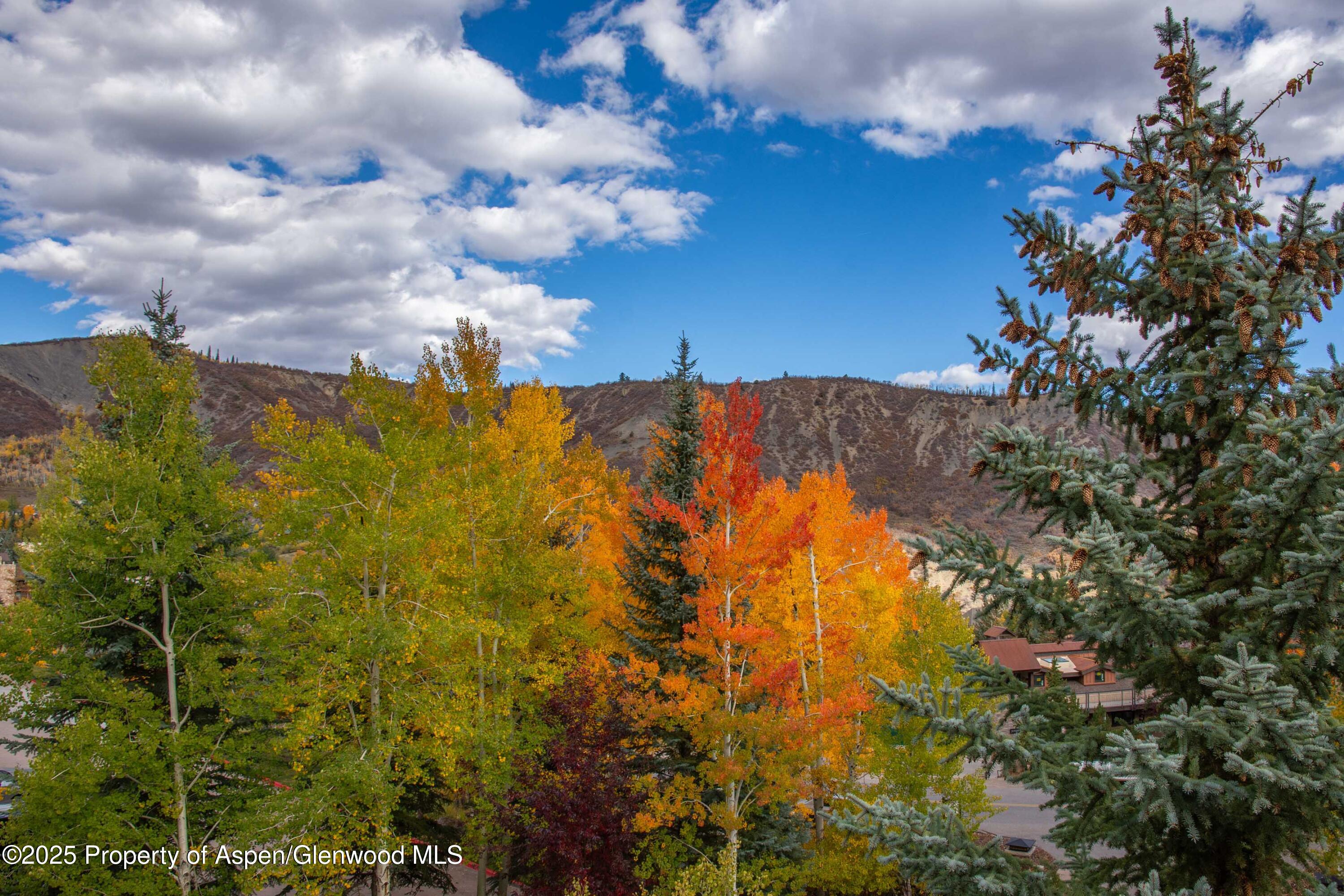 425 Wood Road Snowmass Village CO 81615