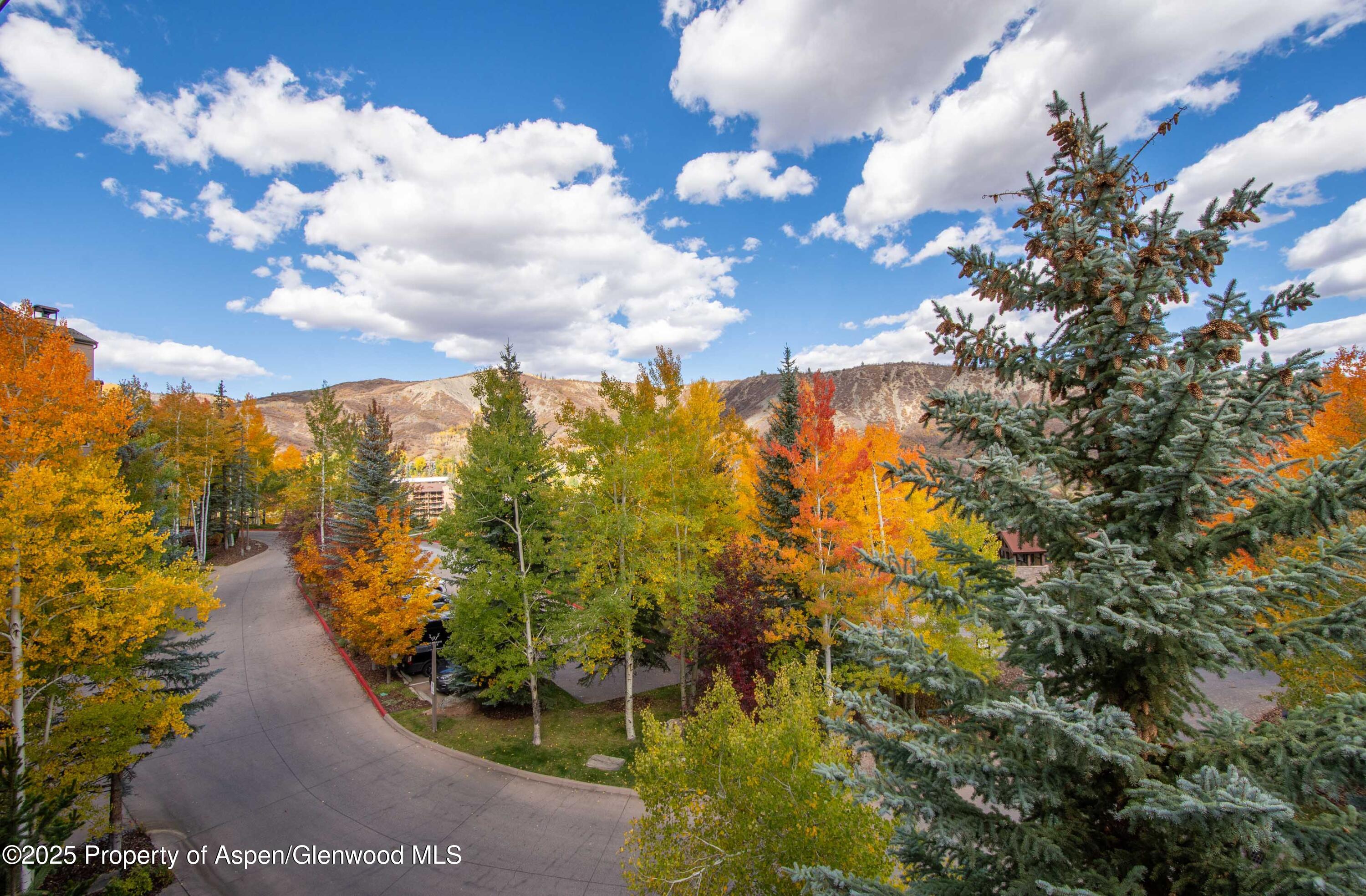 425 Wood Road Snowmass Village CO 81615