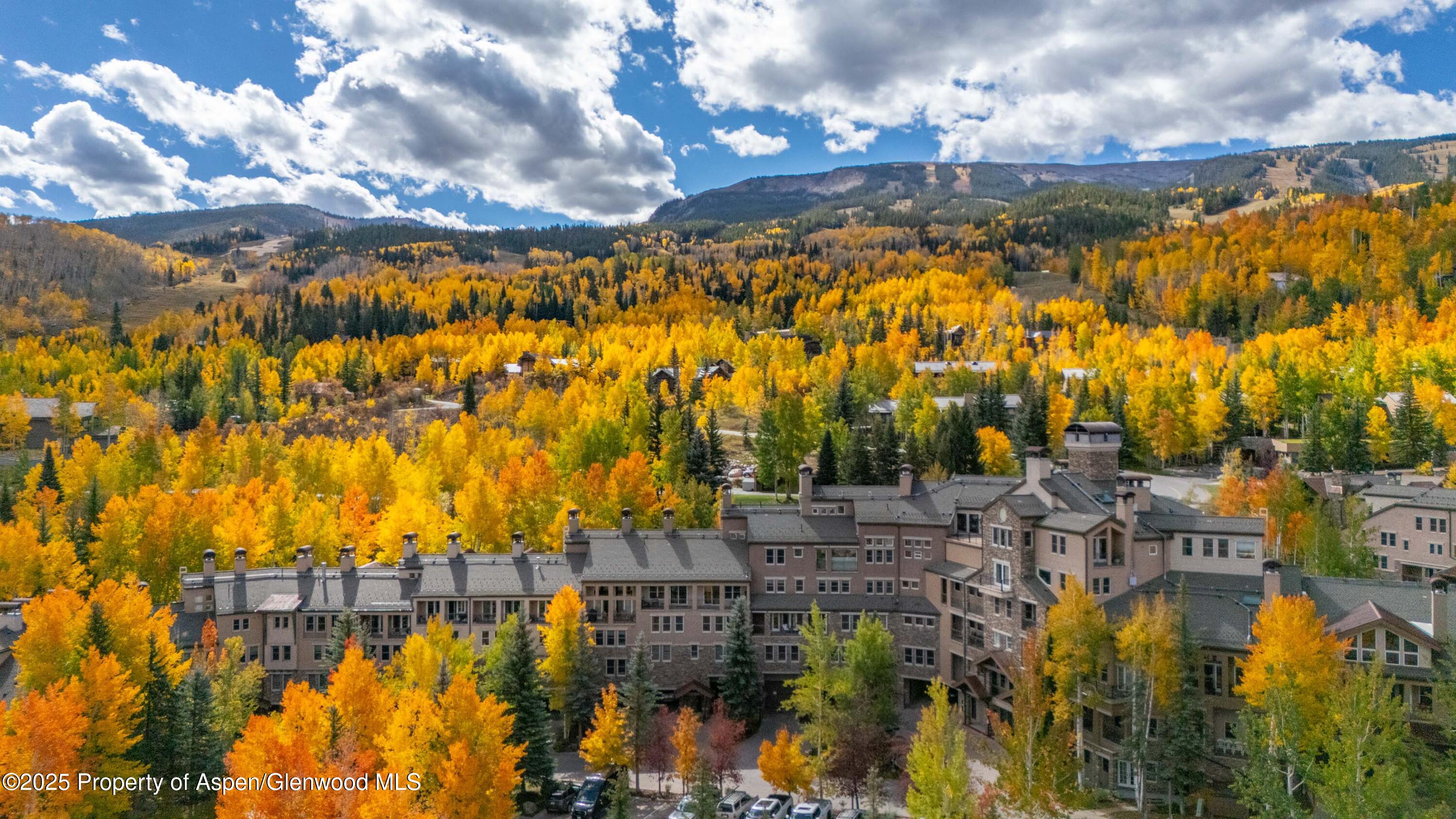 425 Wood Road Snowmass Village CO 81615
