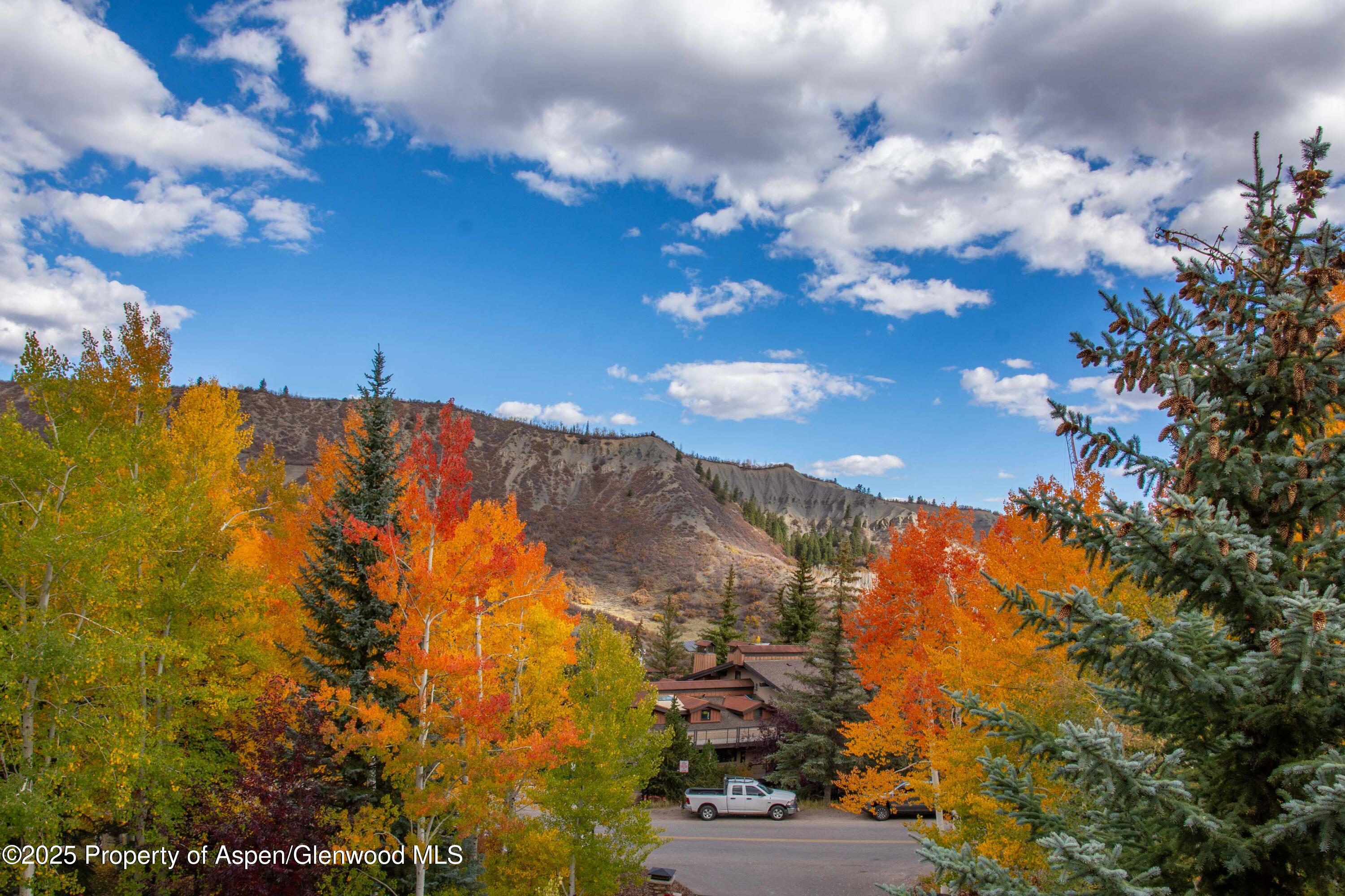 425 Wood Road Snowmass Village CO 81615