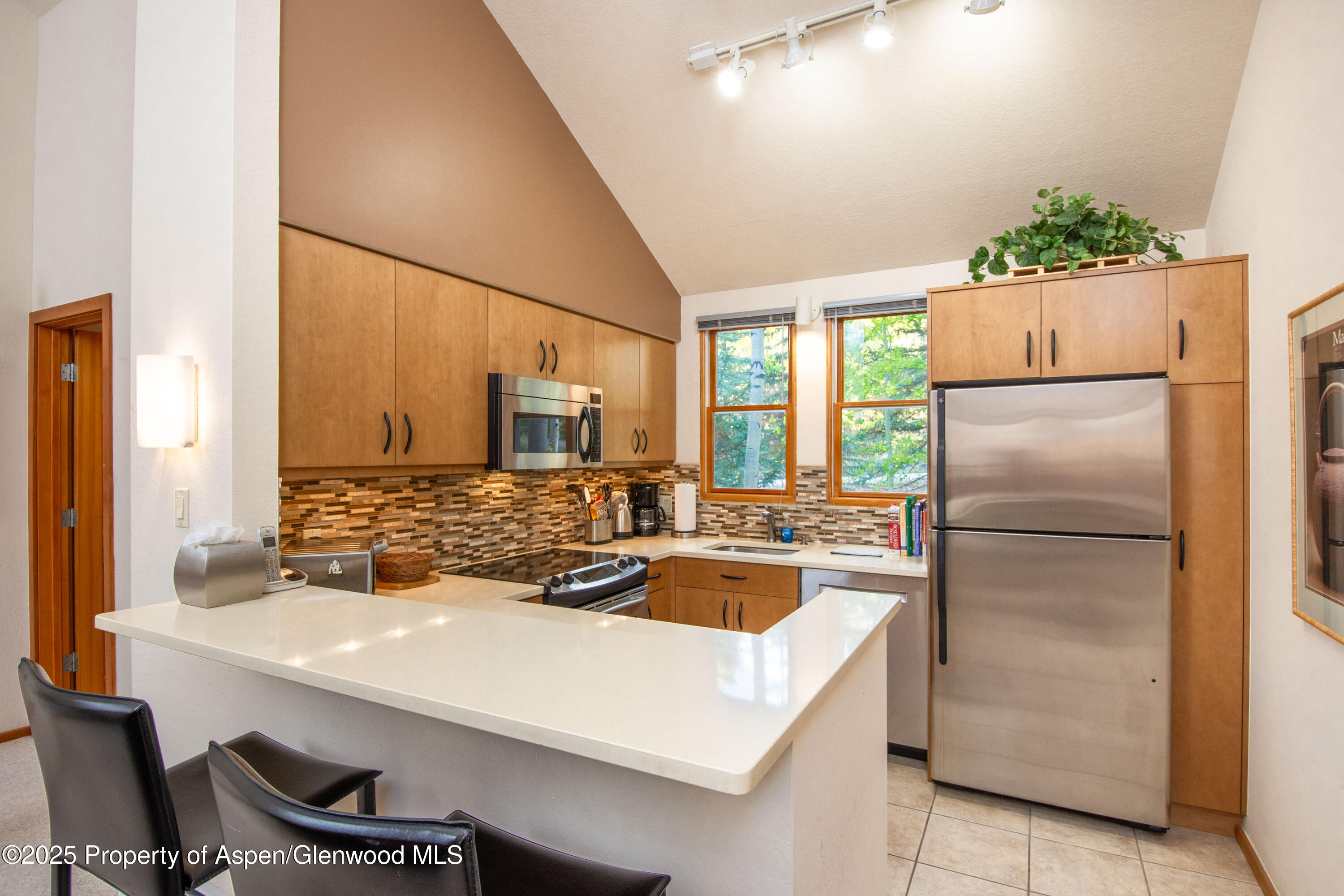 425 Wood Road Snowmass Village CO 81615