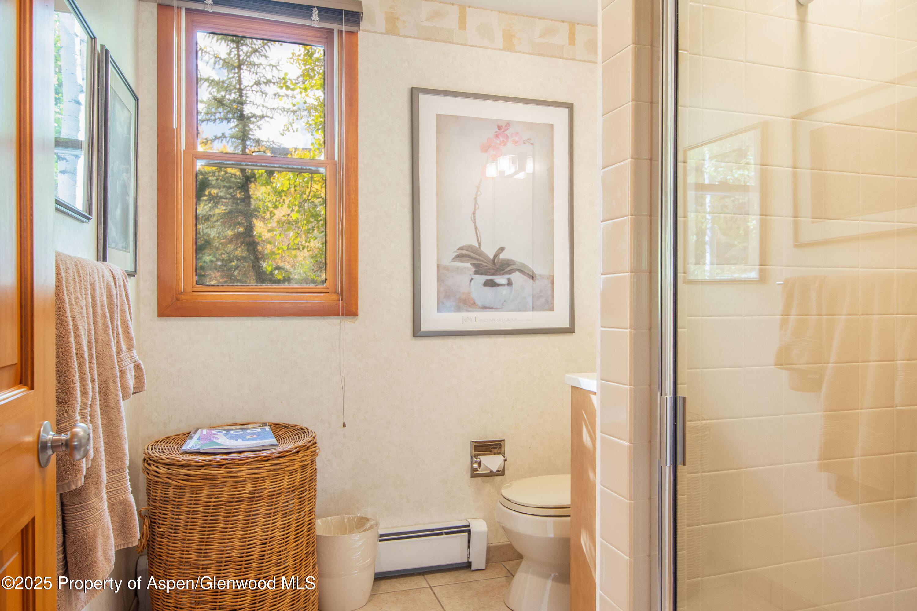 425 Wood Road Snowmass Village CO 81615