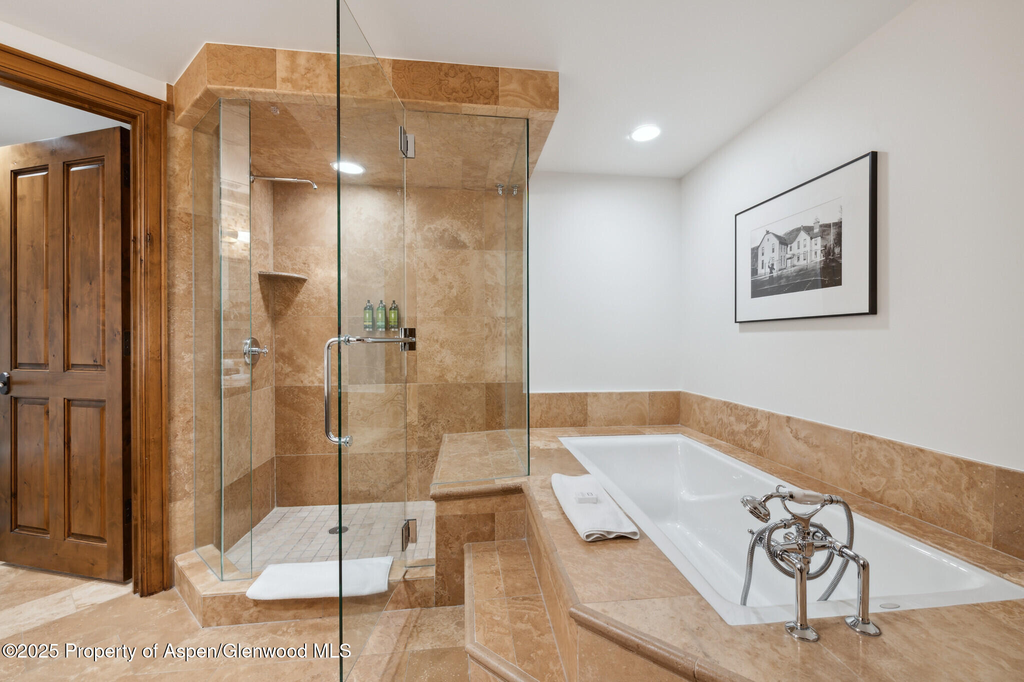 415 E Dean St., Unit 20, Week 27 Aspen CO 81611