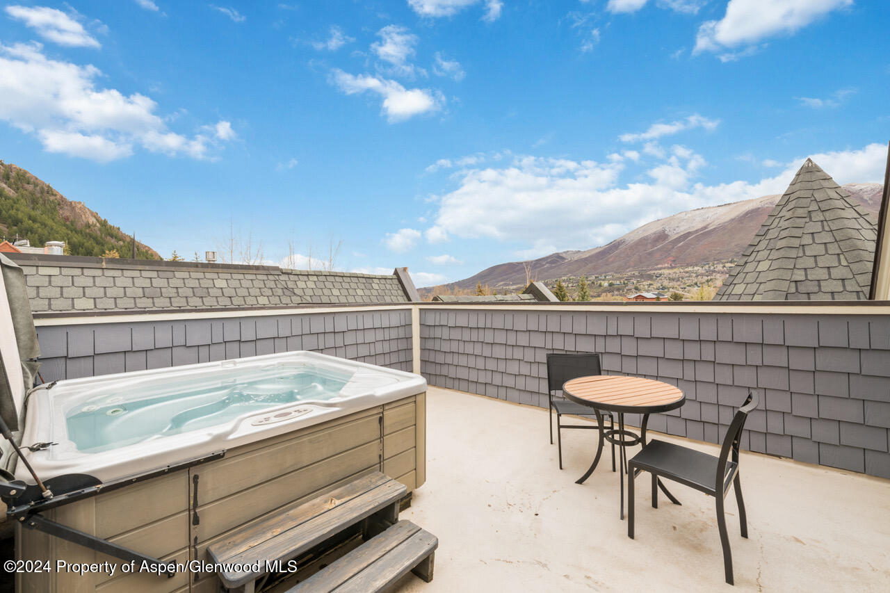 415 E Dean St, Unit 45, Week 12 Aspen CO 81611