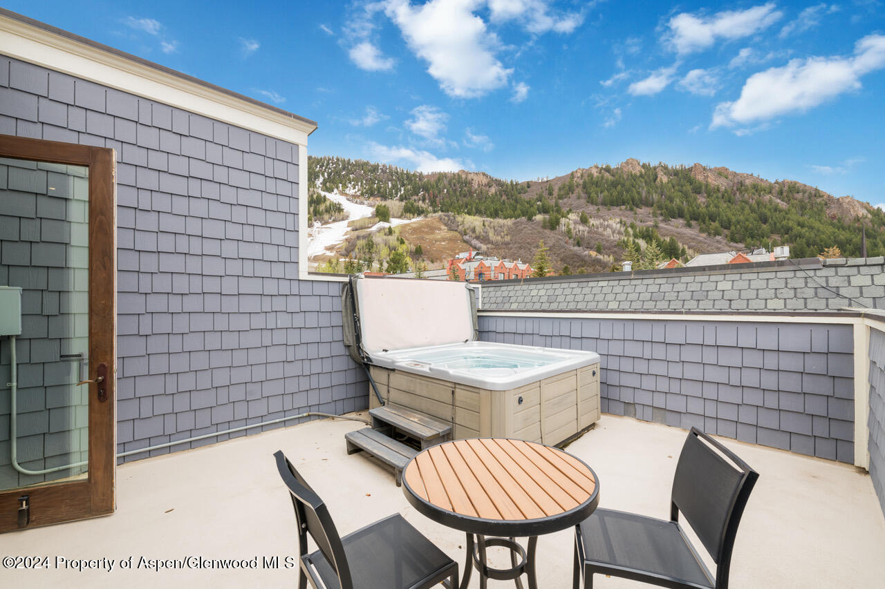 415 E Dean St, Unit 45, Week 12 Aspen CO 81611