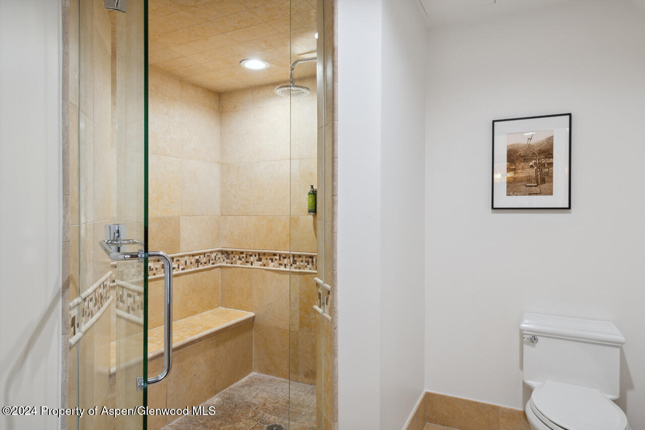 415 E Dean St, Unit 45, Week 12 Aspen CO 81611